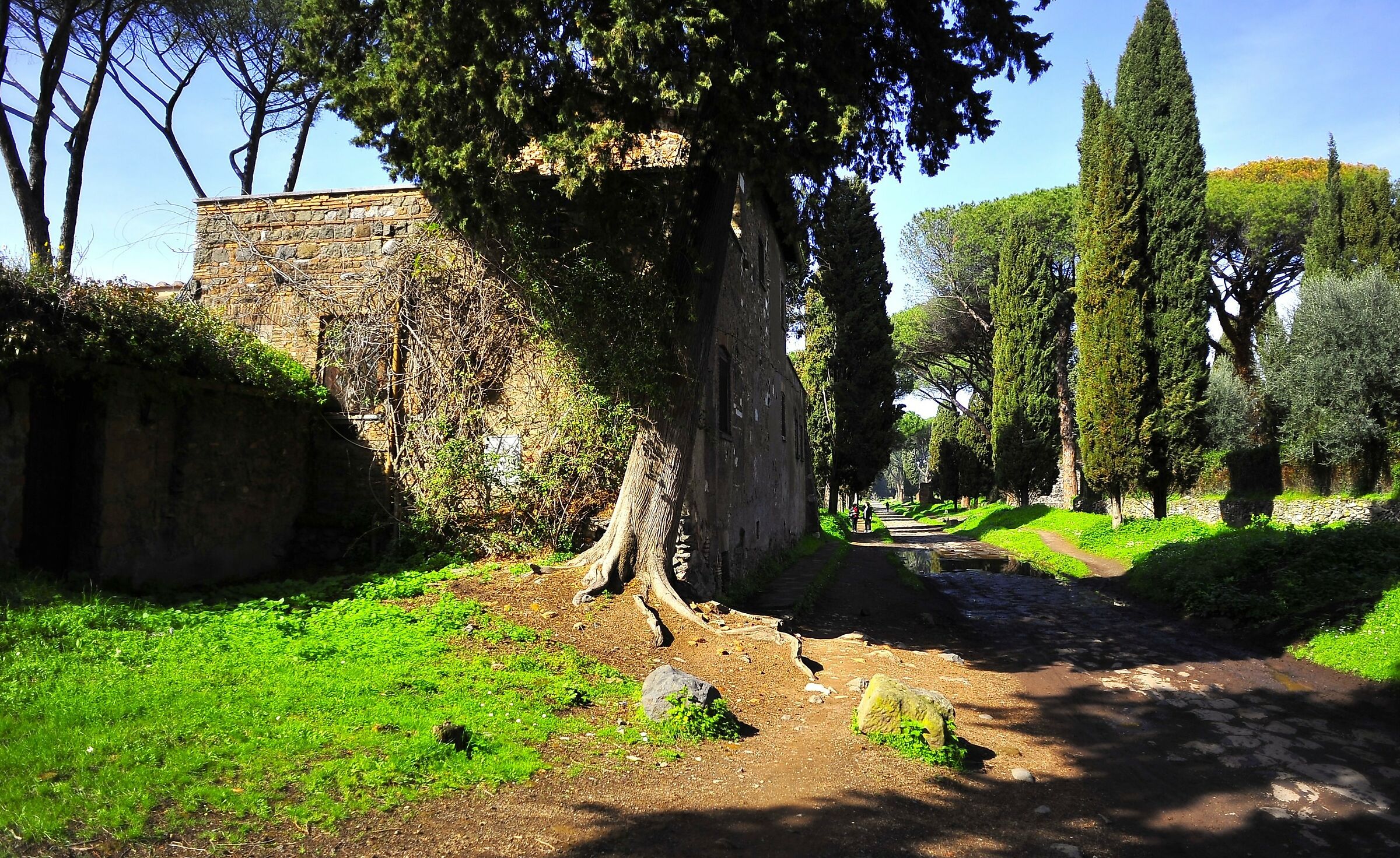 Roma - Appia Antica - Regina Viarum