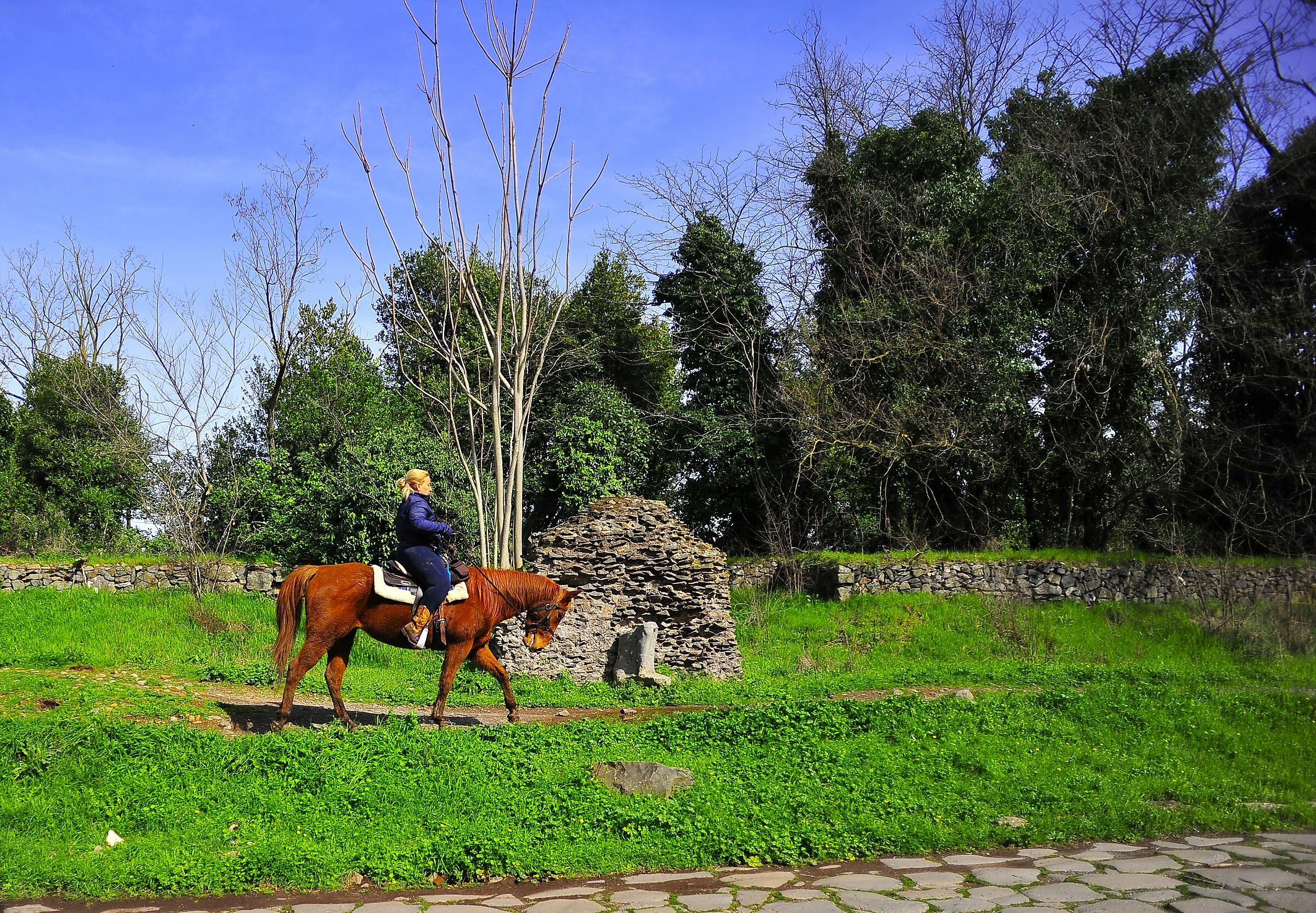 Piacerebbe anche a me l'Appia Antica a cavallo!