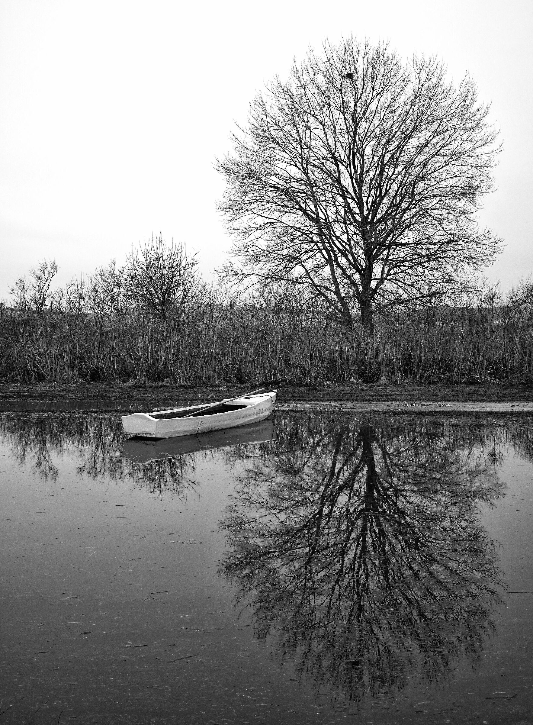 silenzio