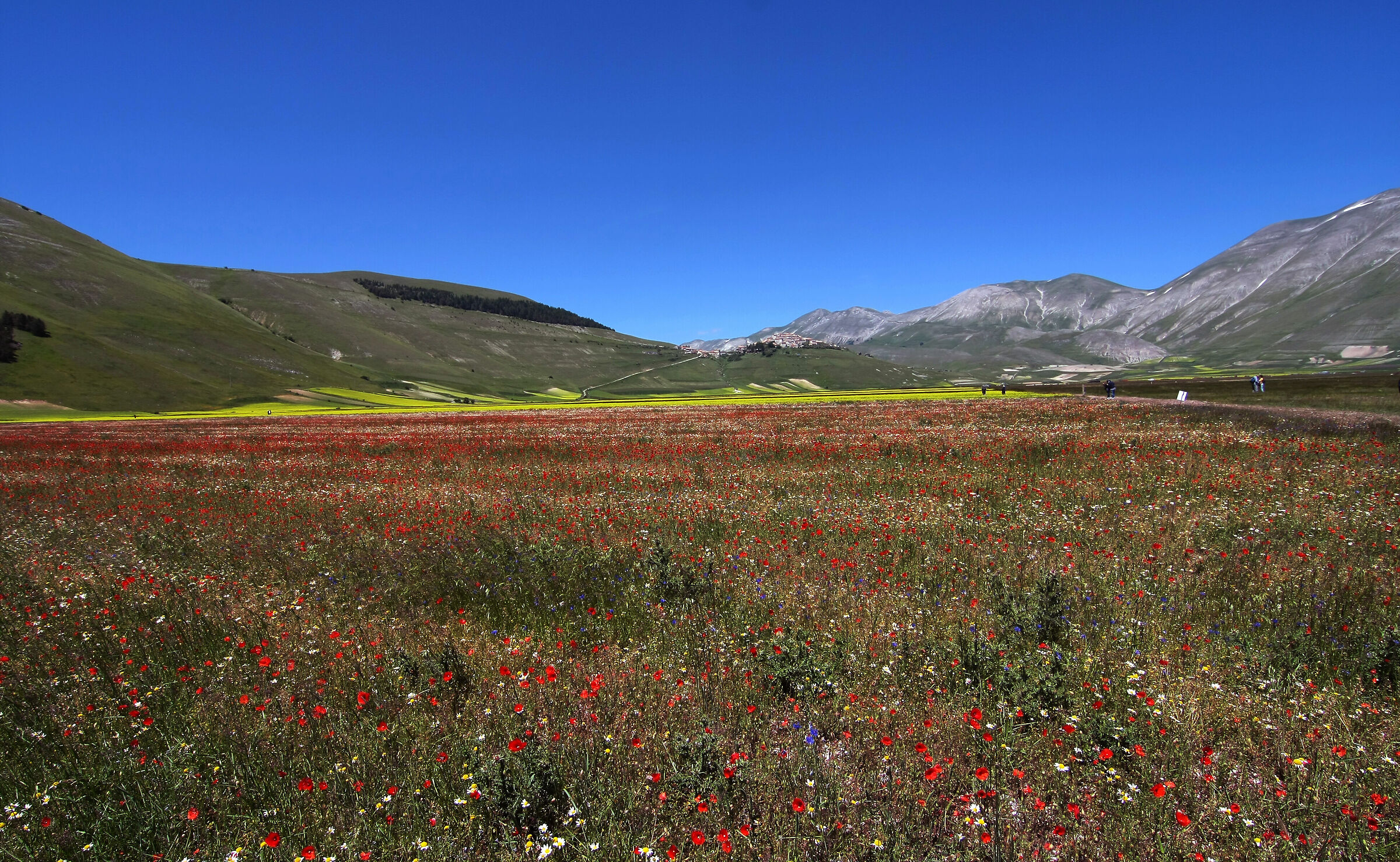 la piana di Castelluccio