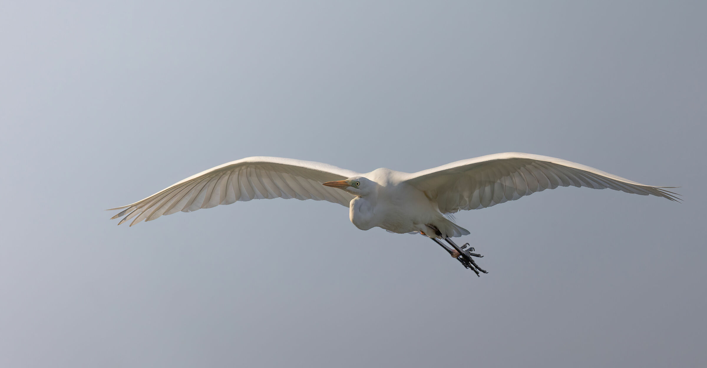 Glide