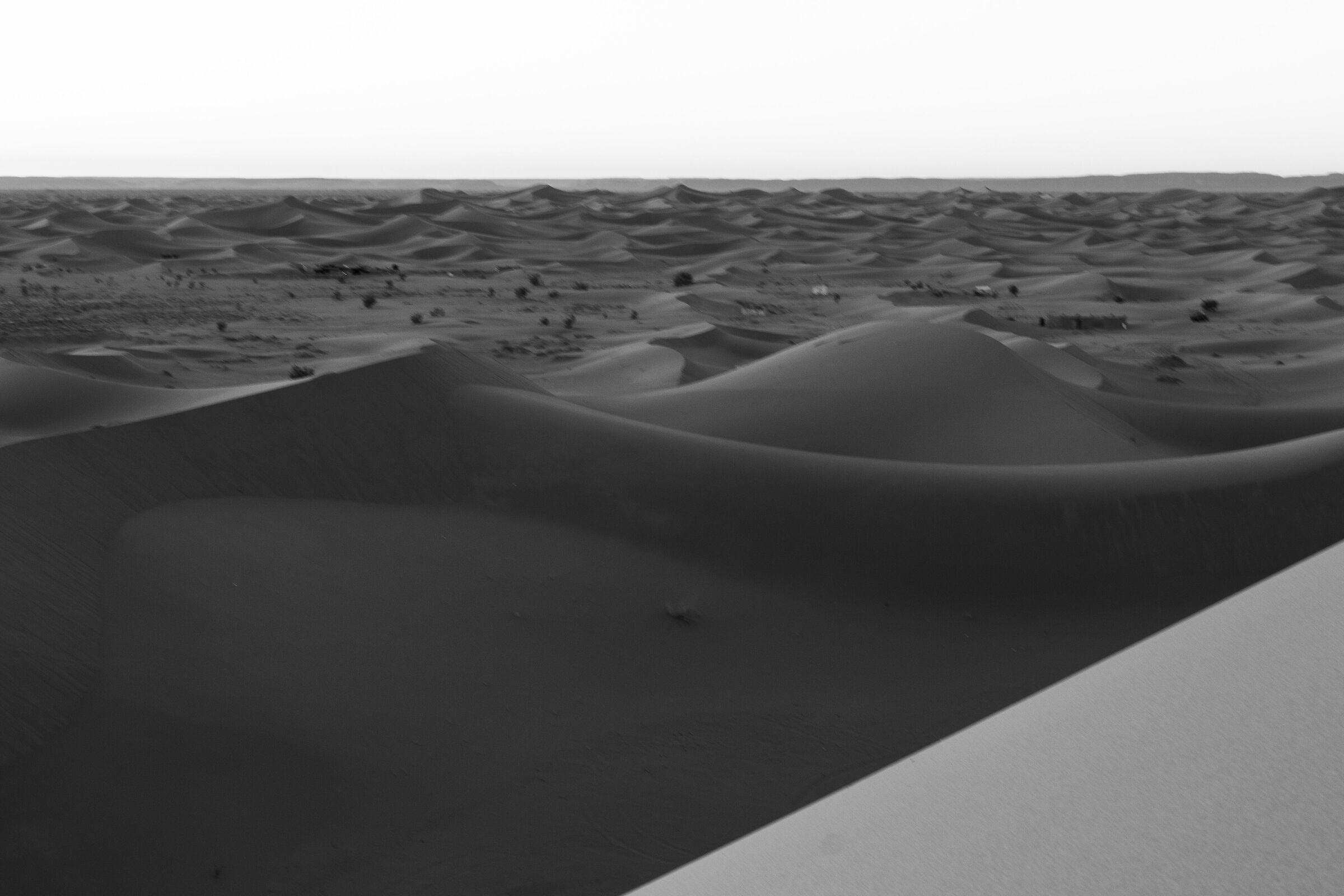 Sunrise over the dunes, Erg Chegaga