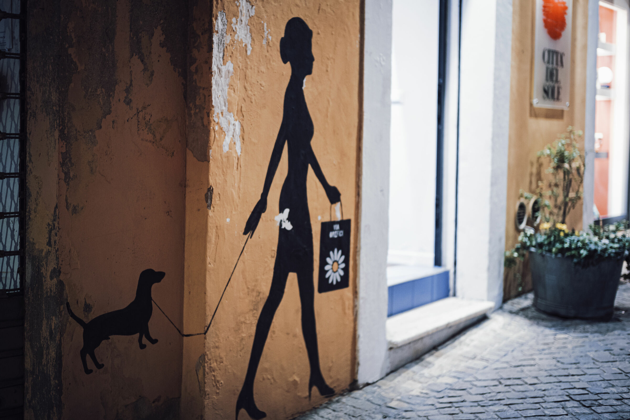 A spasso con il cane