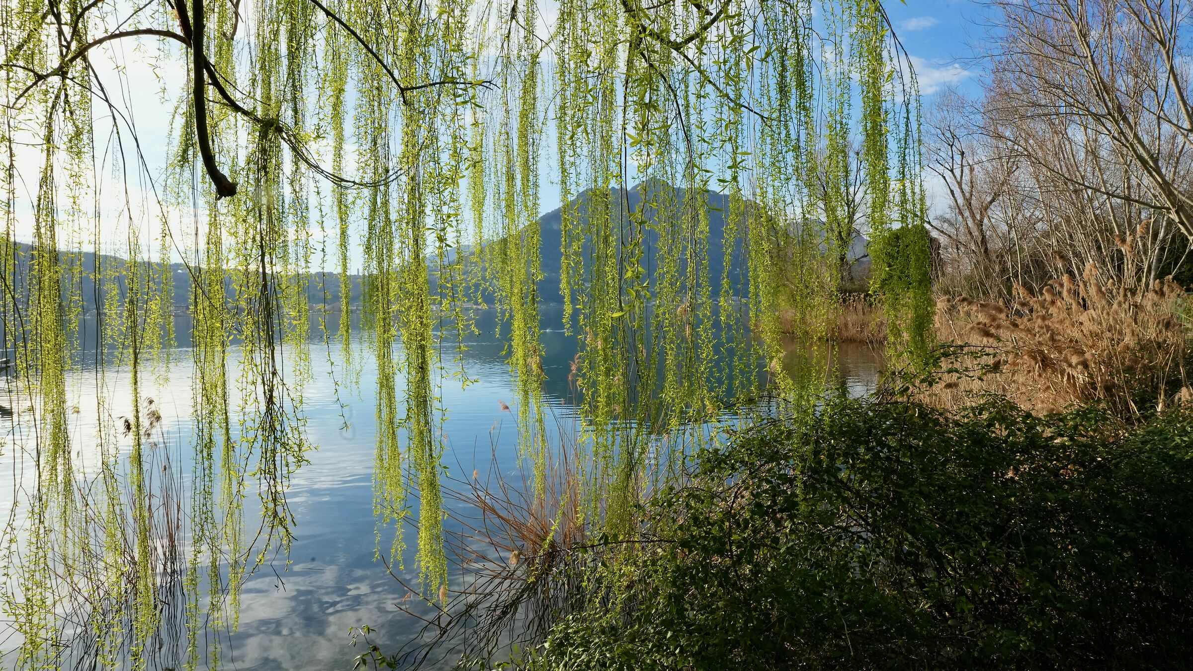 Lake Garlate, spring is approaching