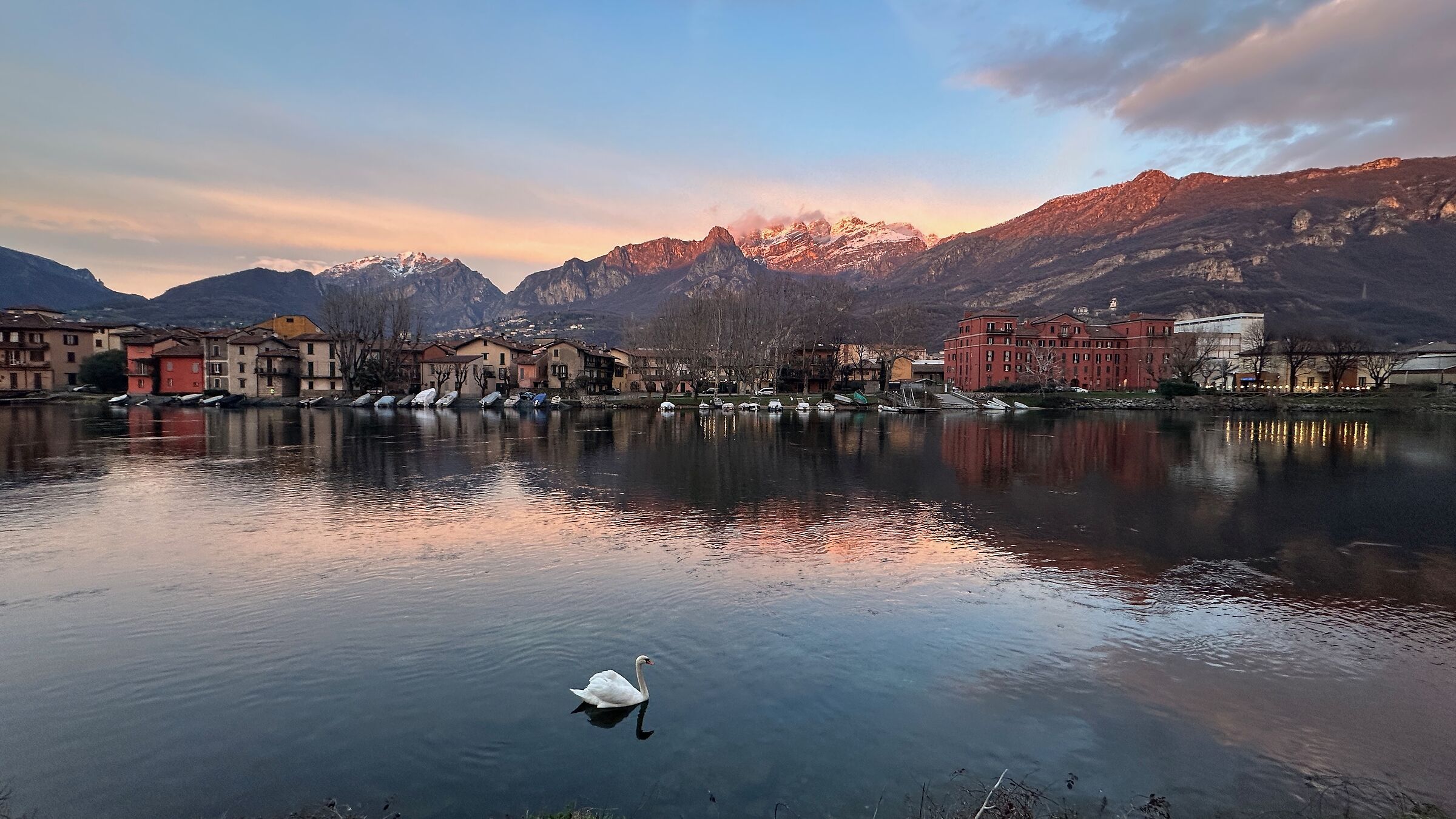 Pescarenico, a solitary swan