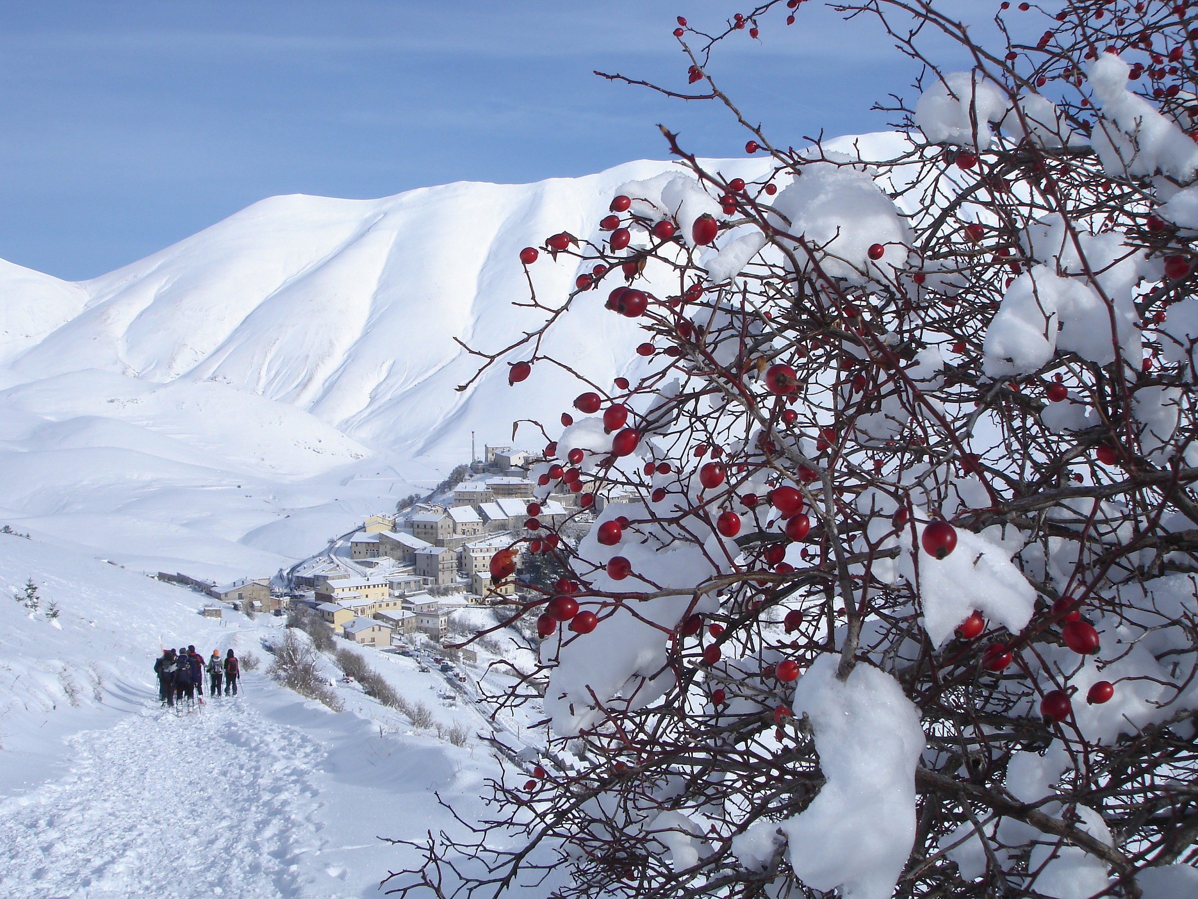 Castelluccio di Norcia