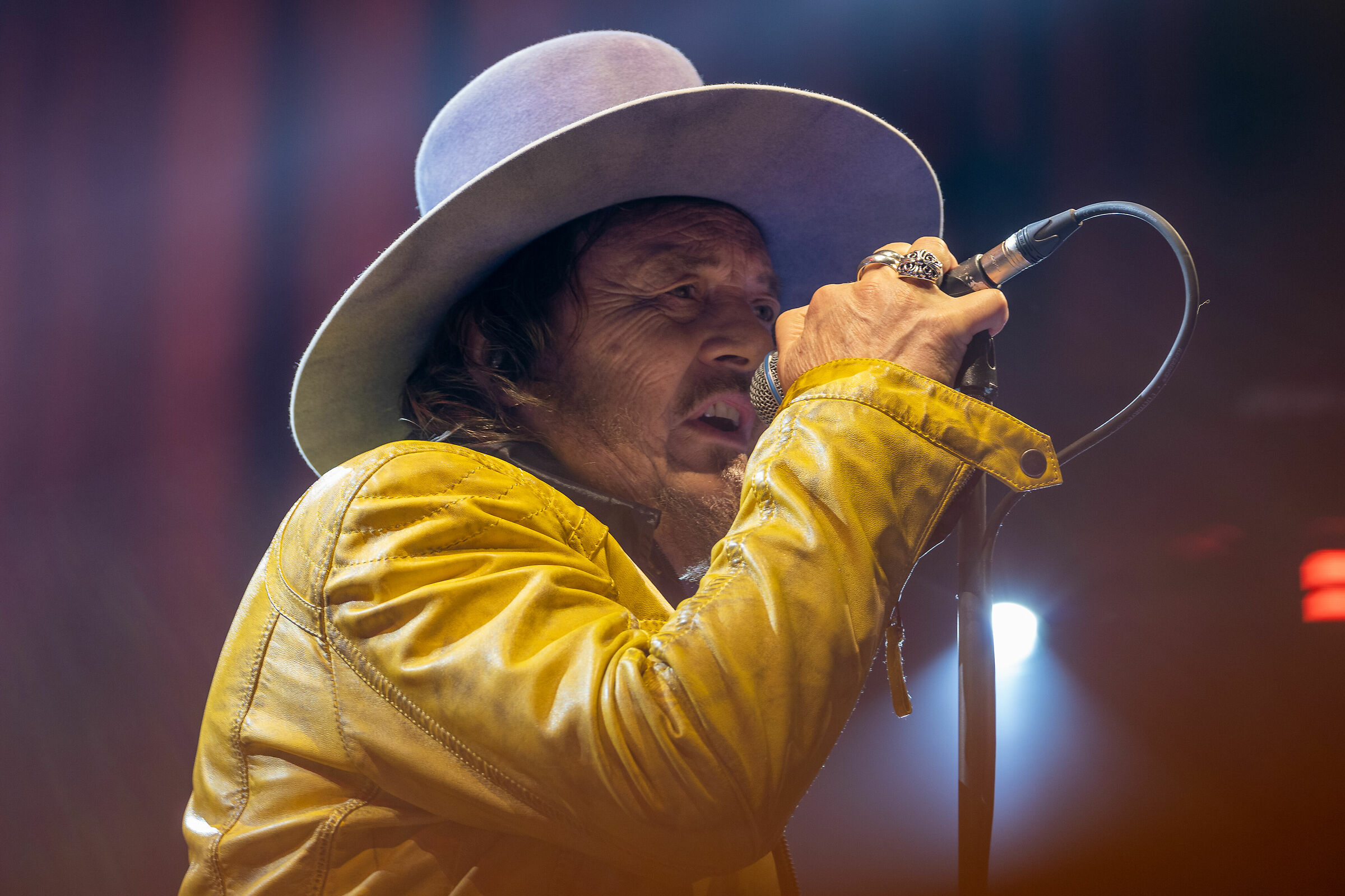 Zucchero "Suga" Fornaciari live performs at Verona