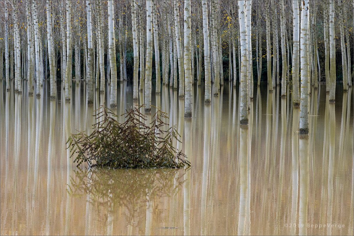 Putting a good face on bad luck