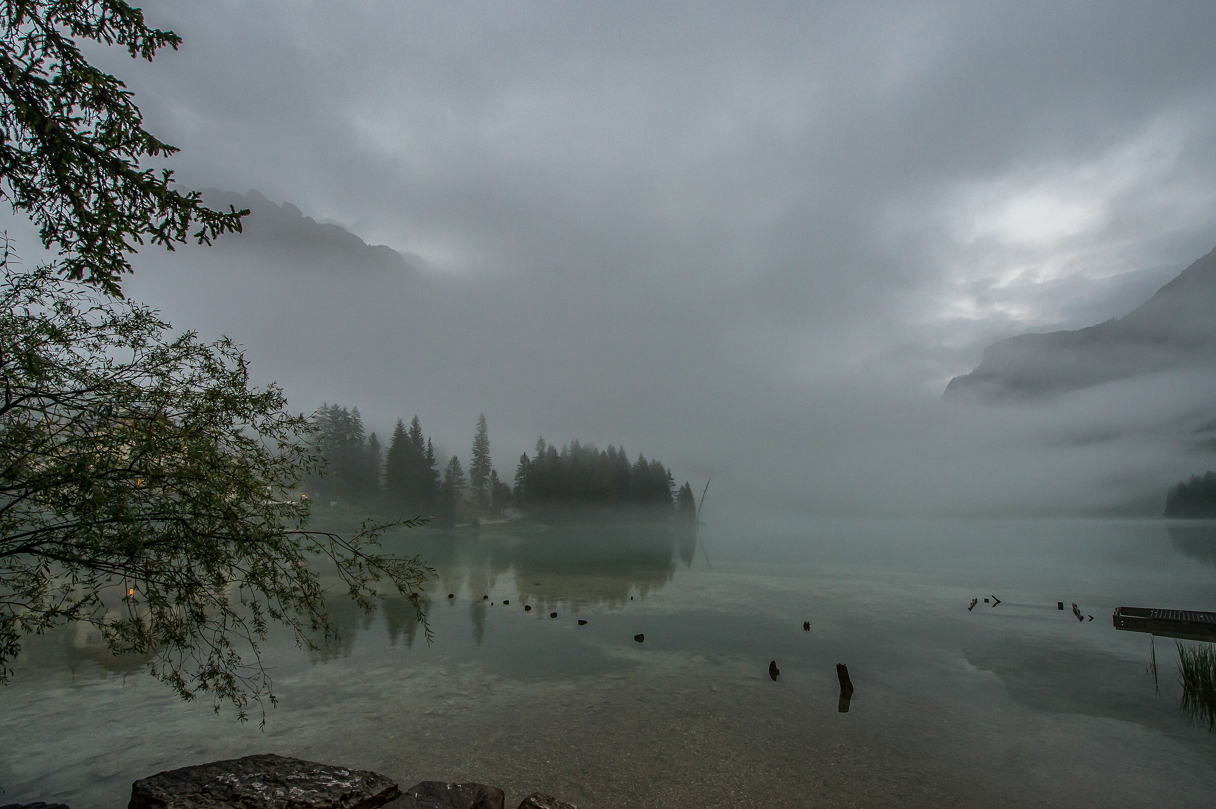 Nebbia sul lago