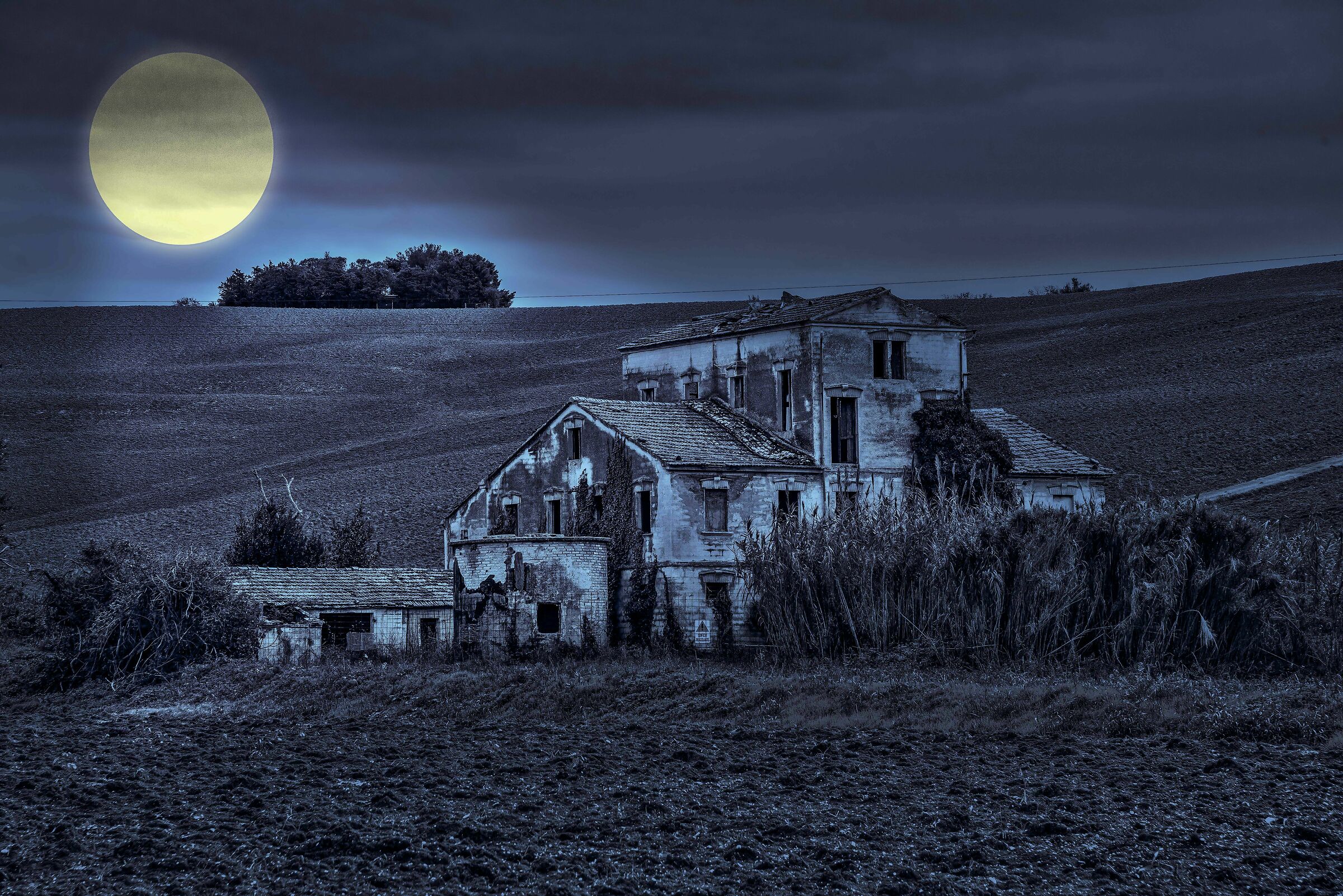 The House of the... Spirits