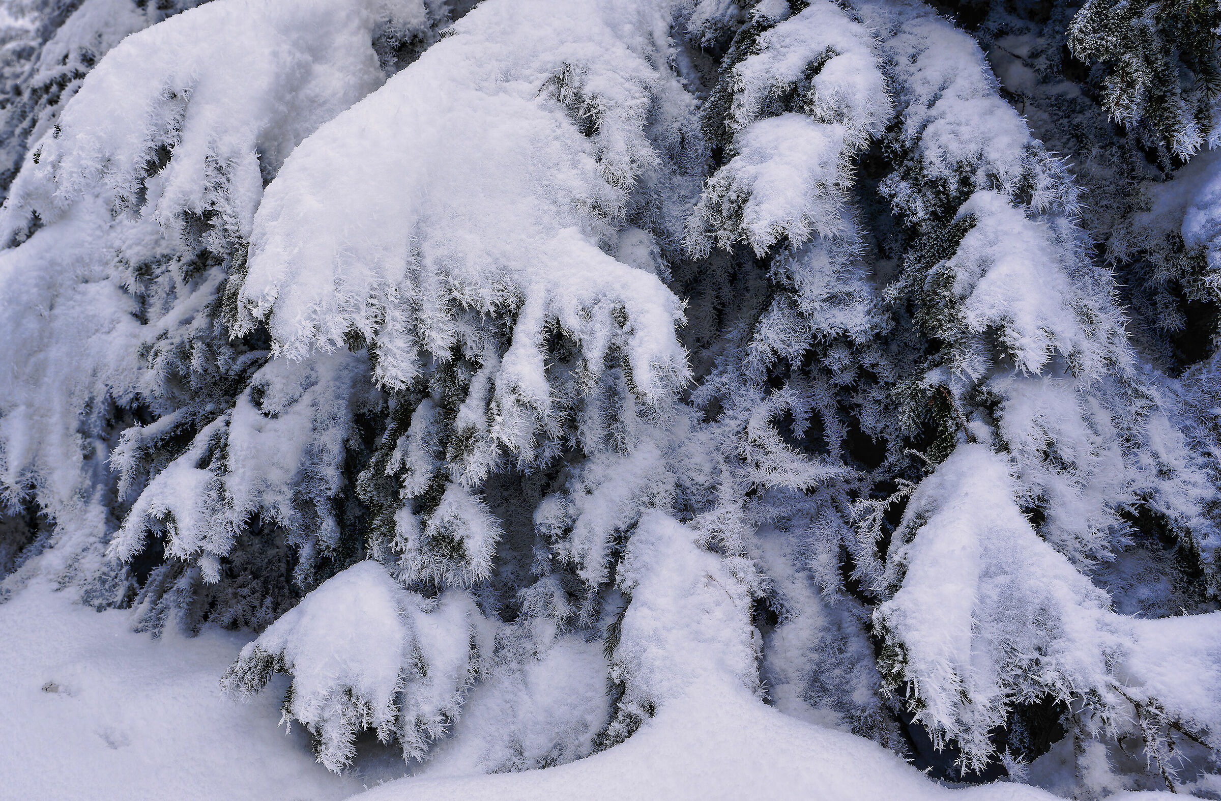 L'inverno che non c'è