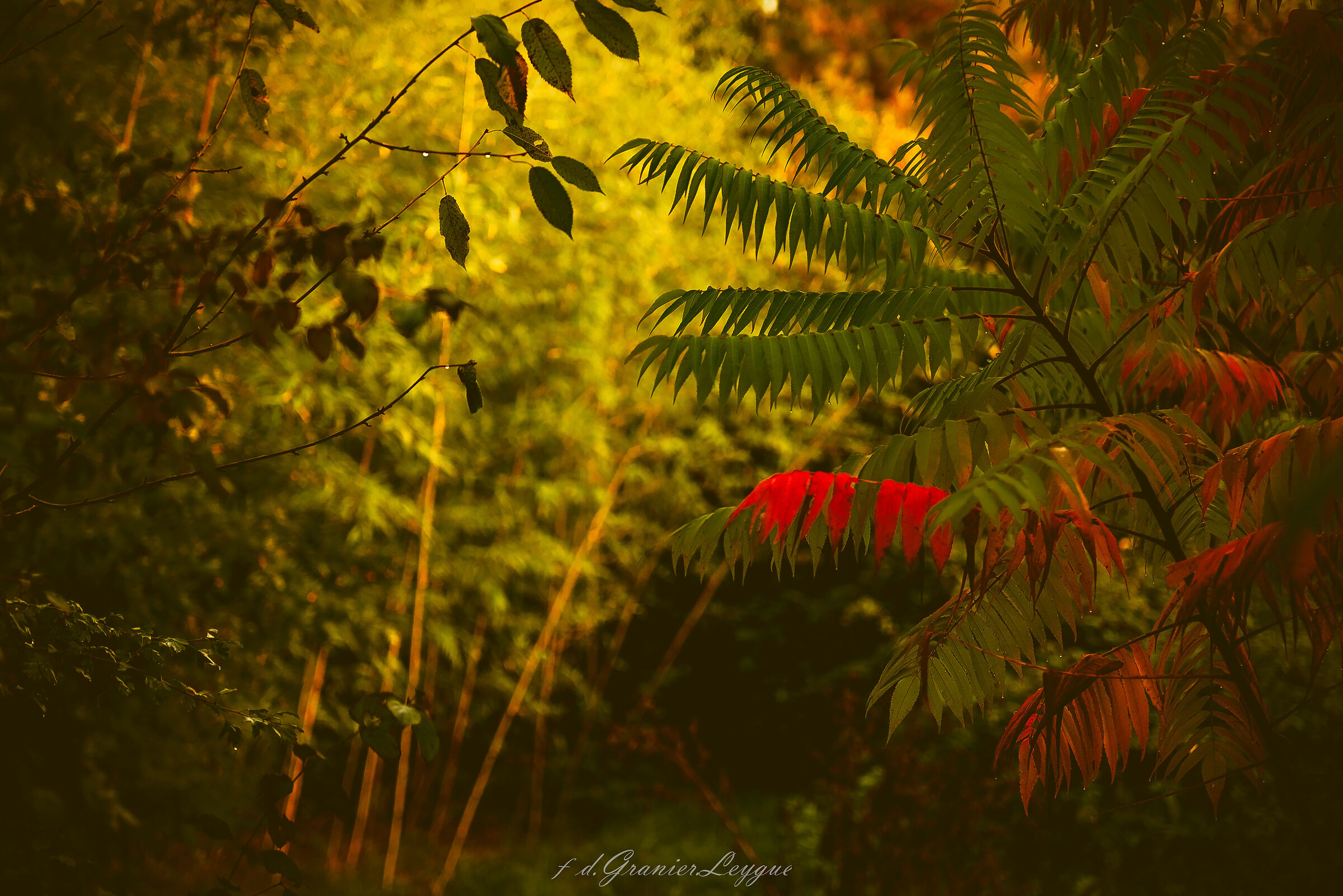Untitled Photo