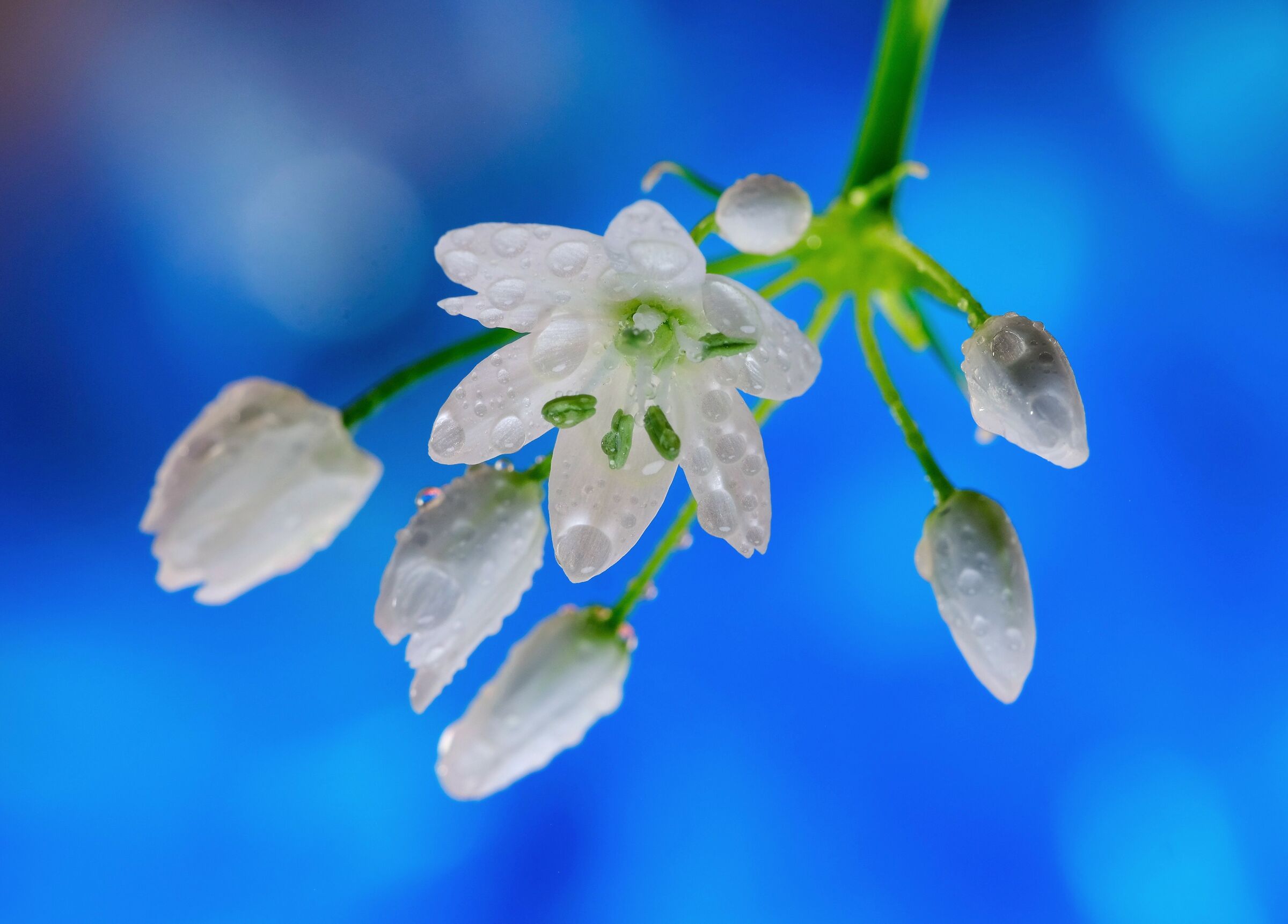 Small is beautiful
