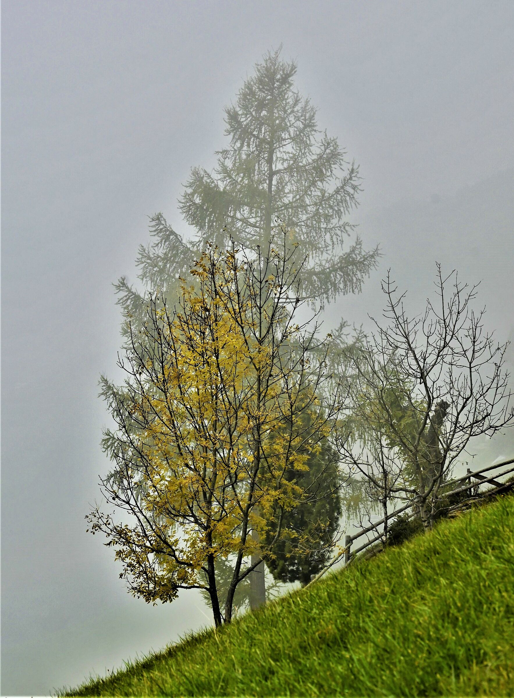 The fog was rising quickly