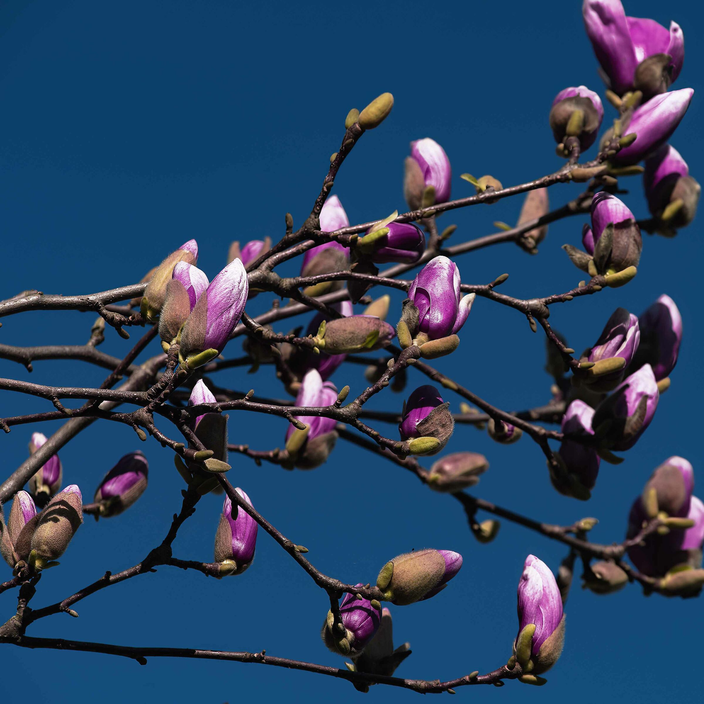 Family group in an outdoor