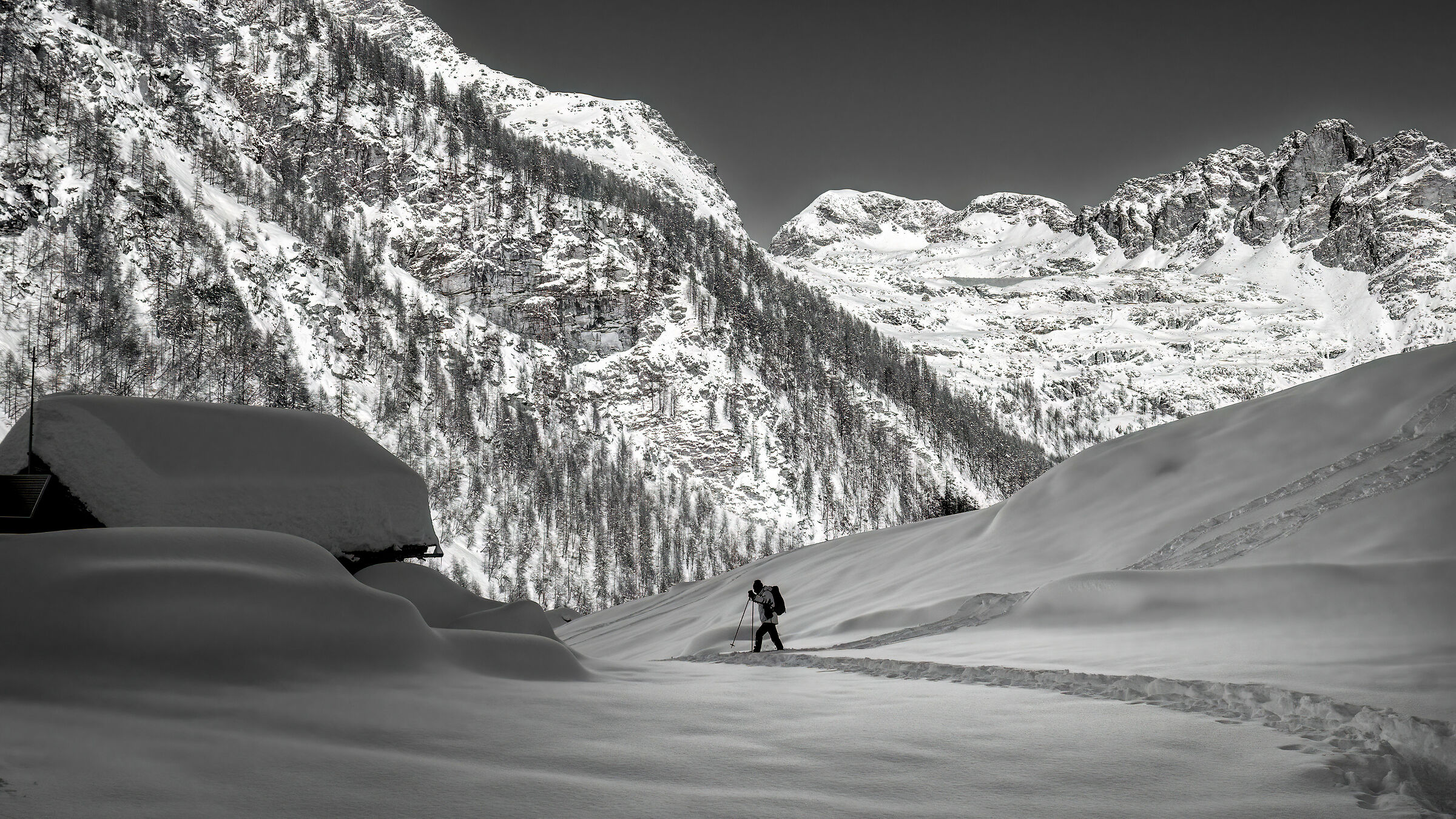 winter full immersion