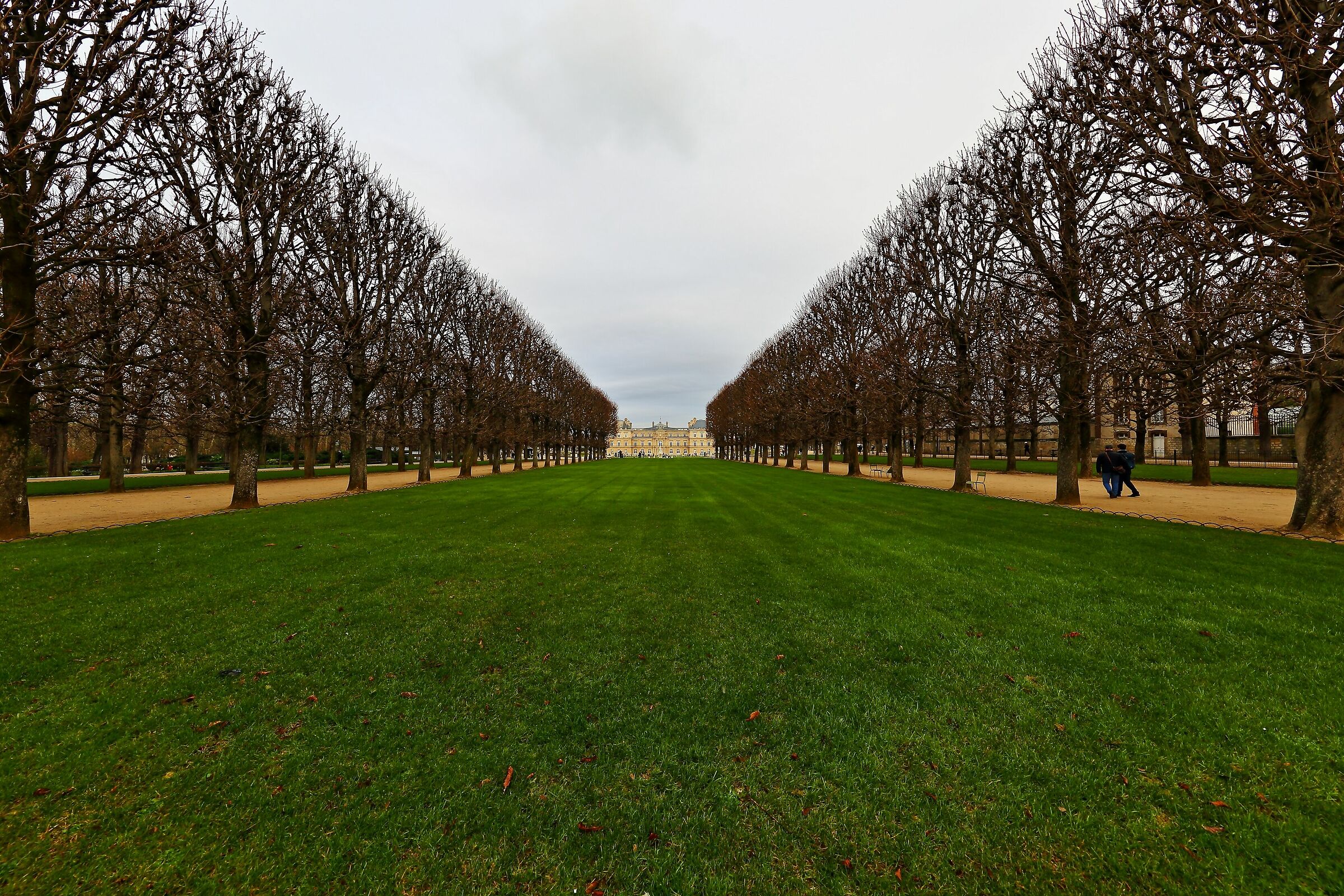 Giardini del Lussemburgo 1