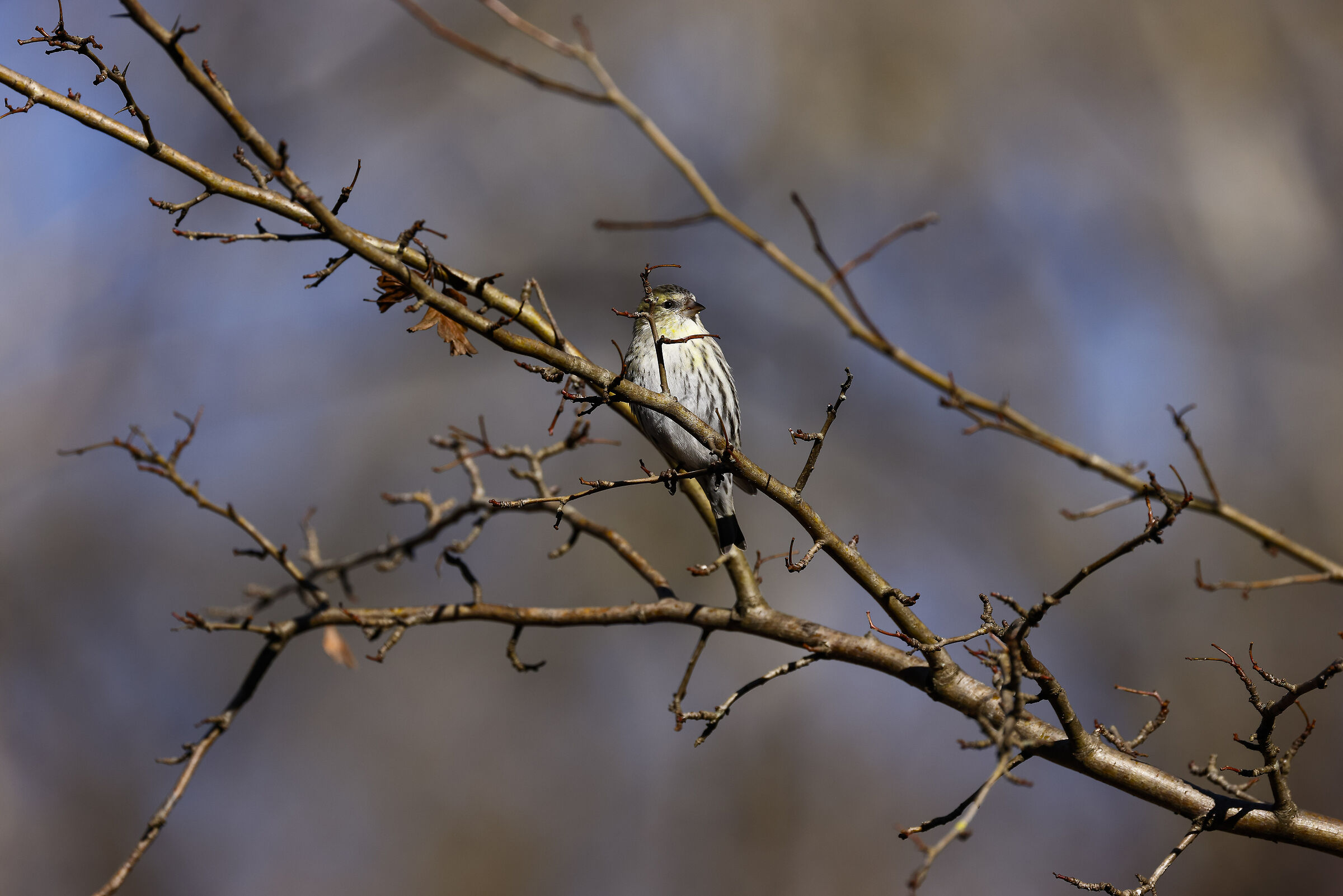 Assessing the situation