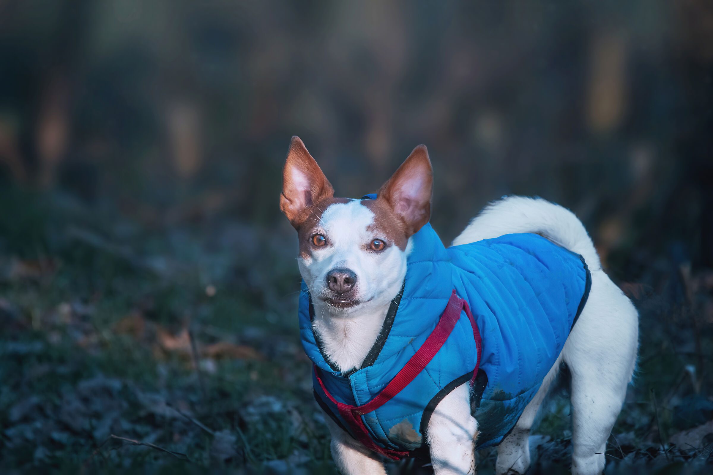 pausa riflessione glaciale