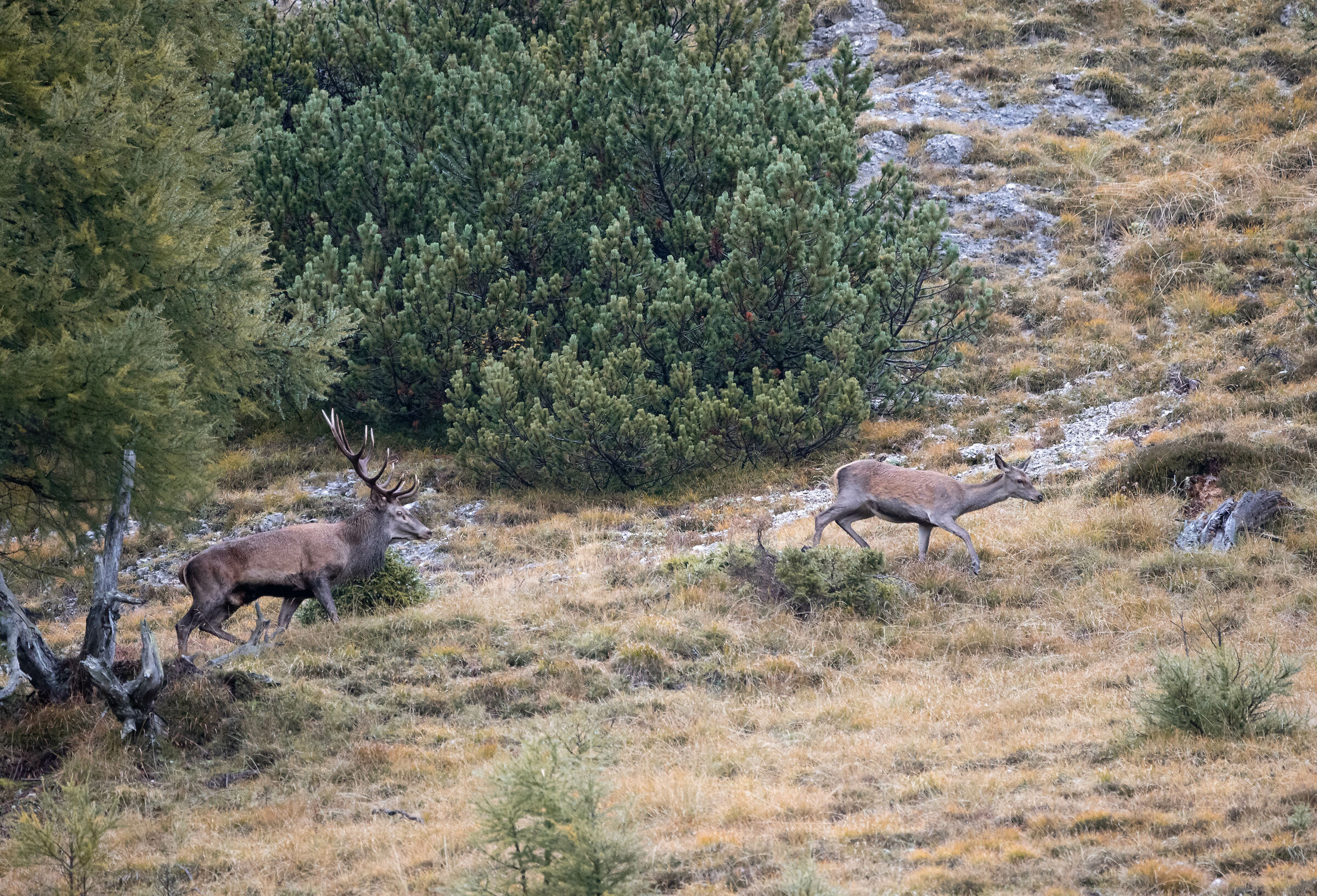 The sound of love. non è ancora pronta socio :)