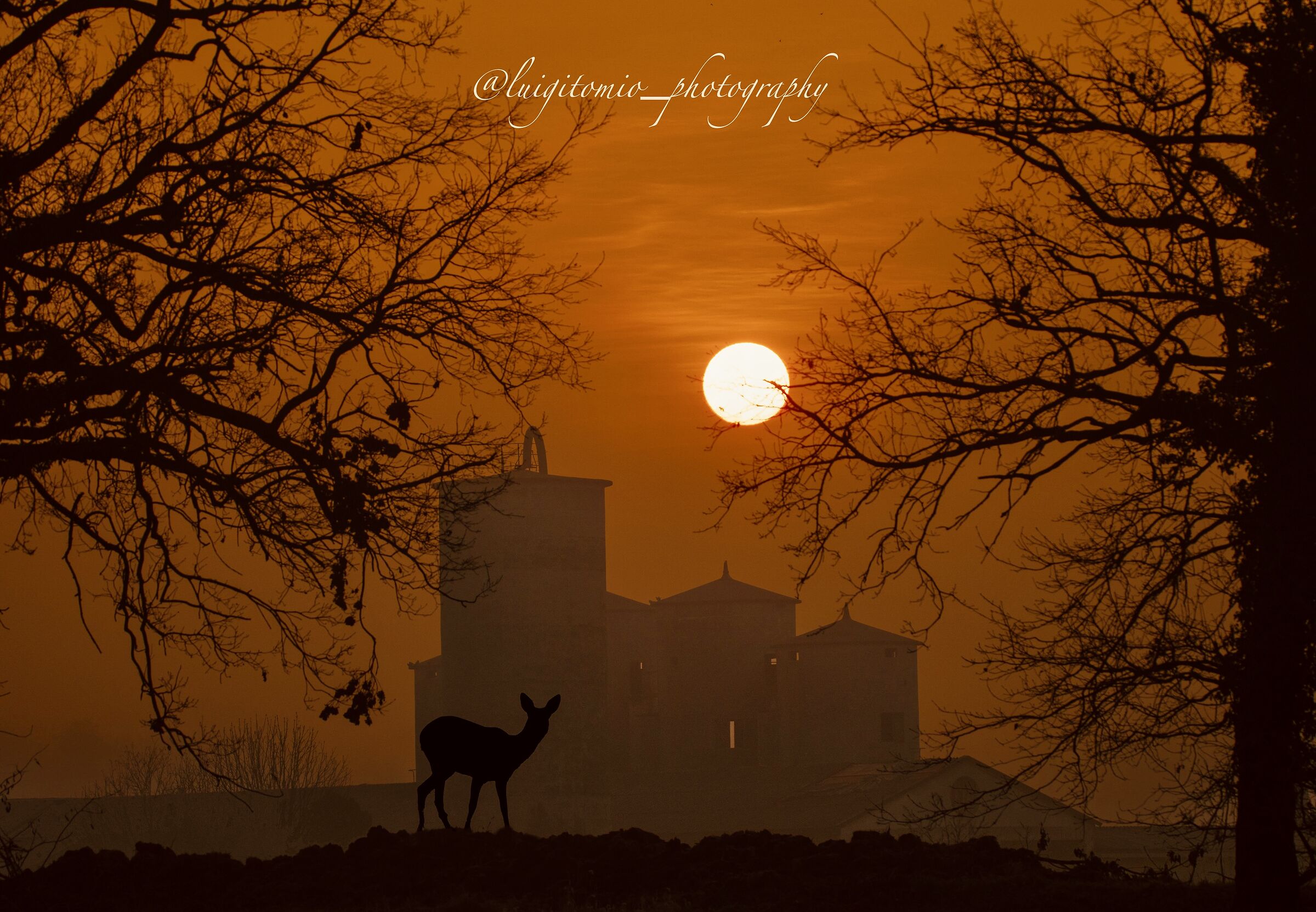 Dentro un sogno all'alba.