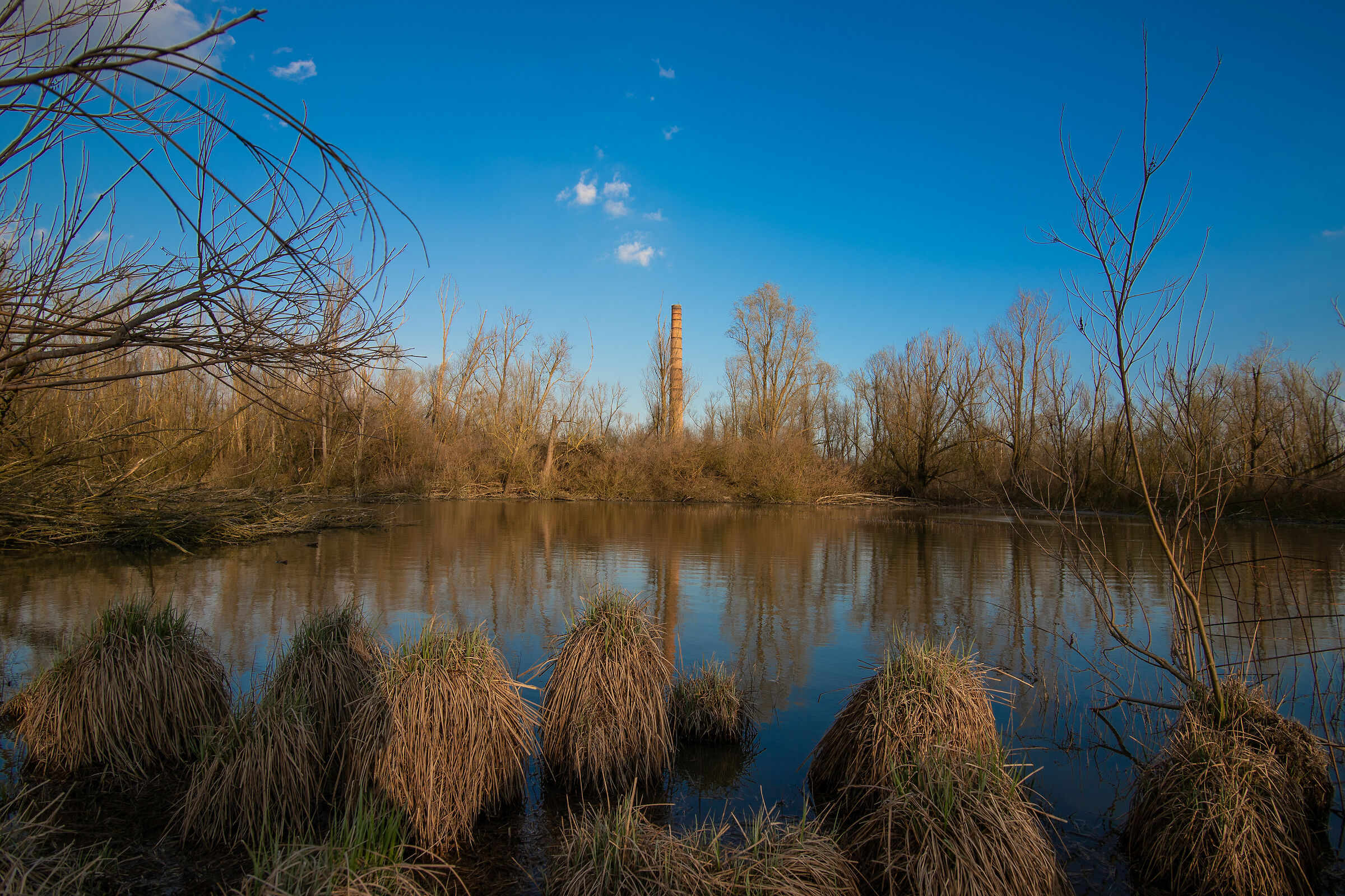 In the floodplain of the Po