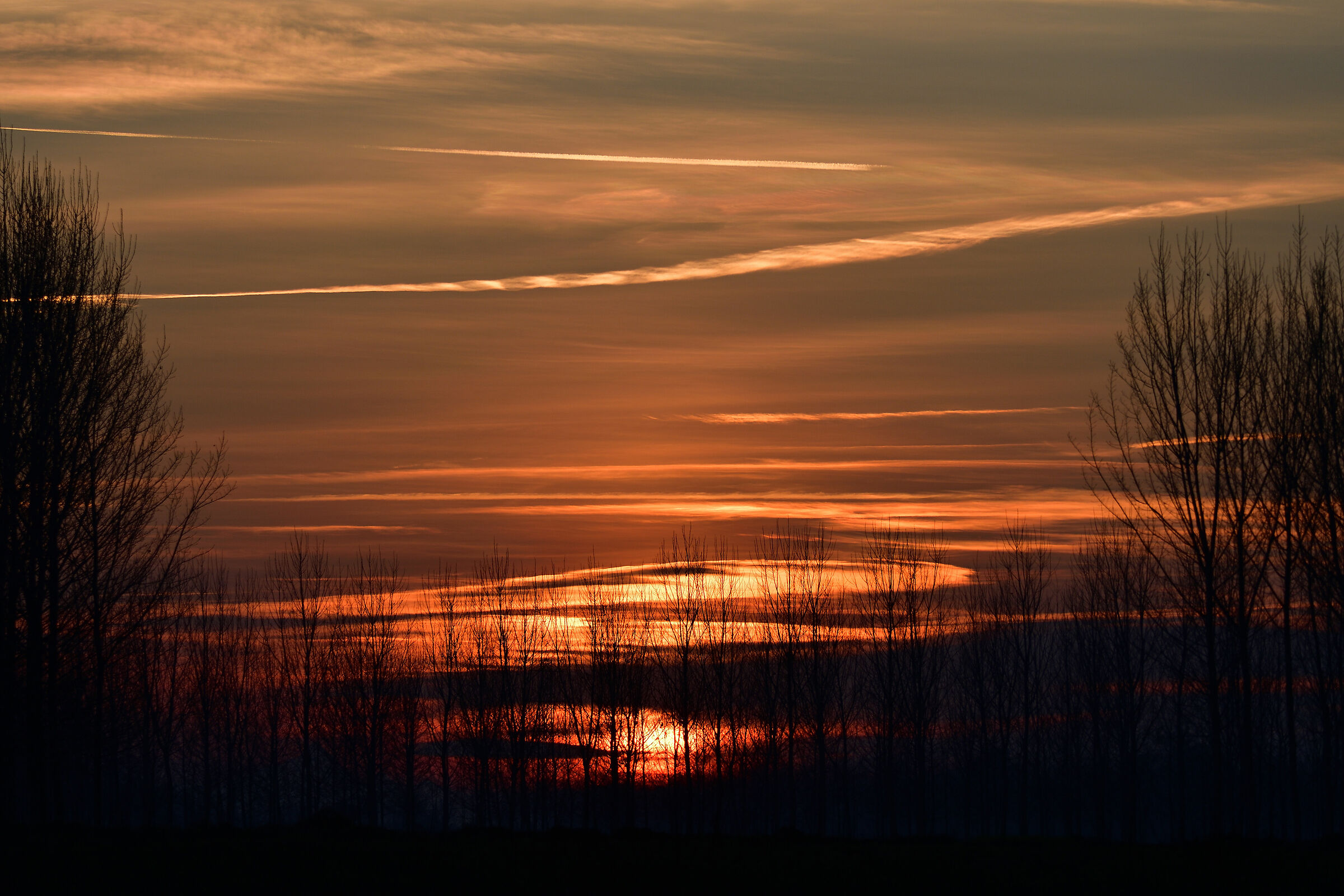 sunset the Lomellina