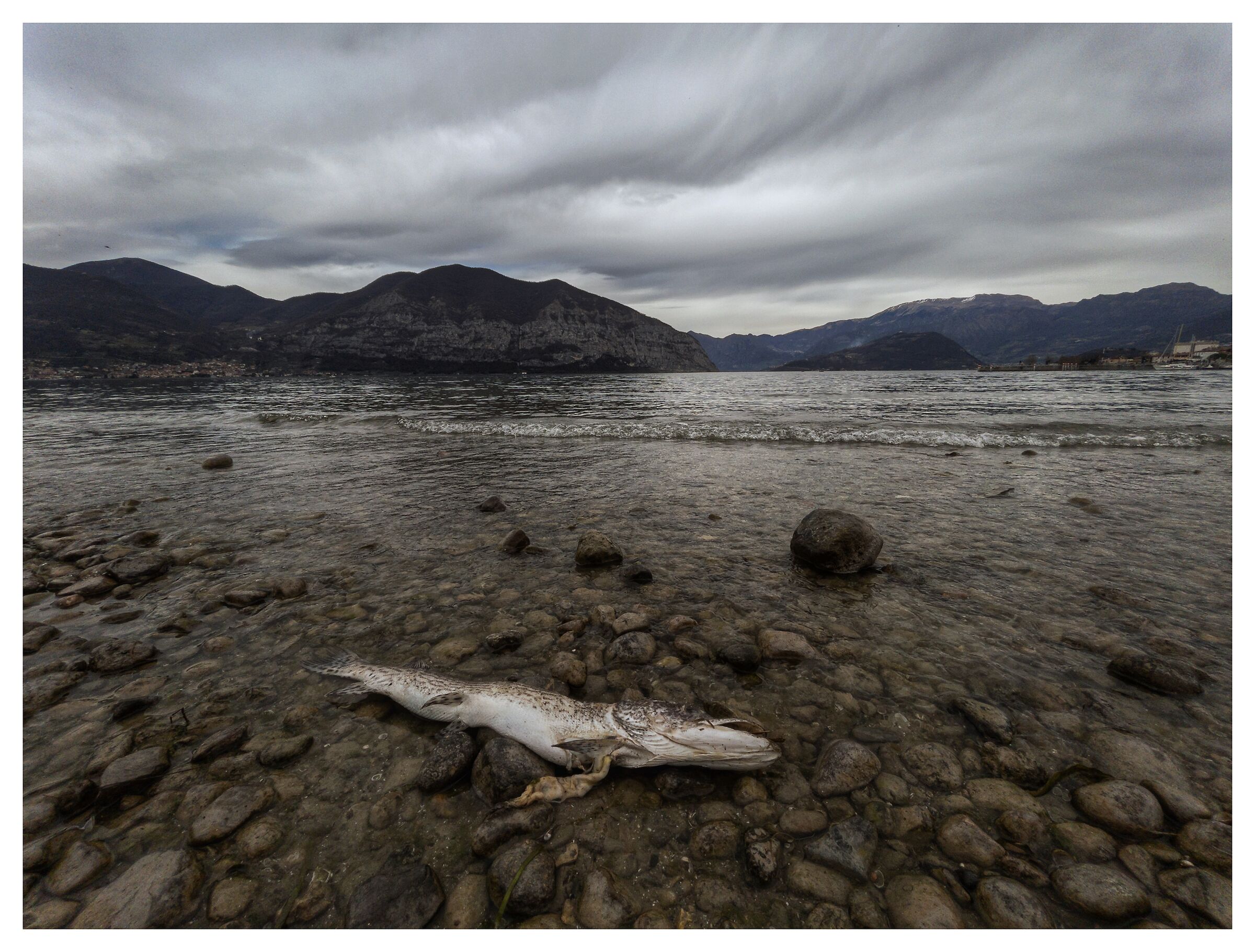 Non ci saranno vincitori