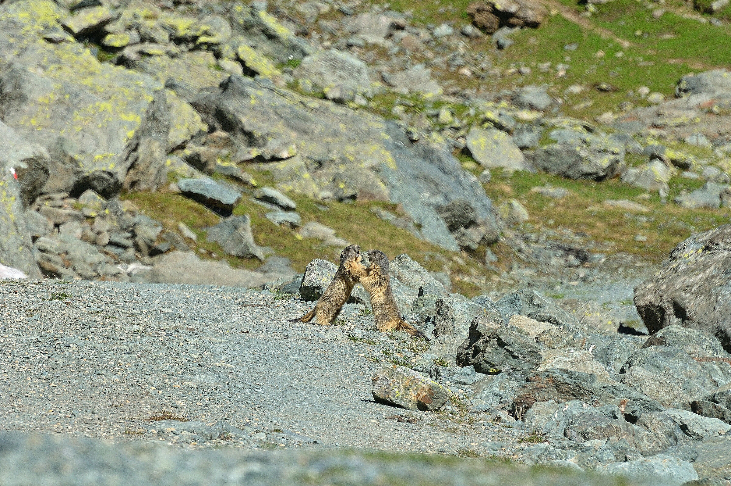Finalmente e Primavera....