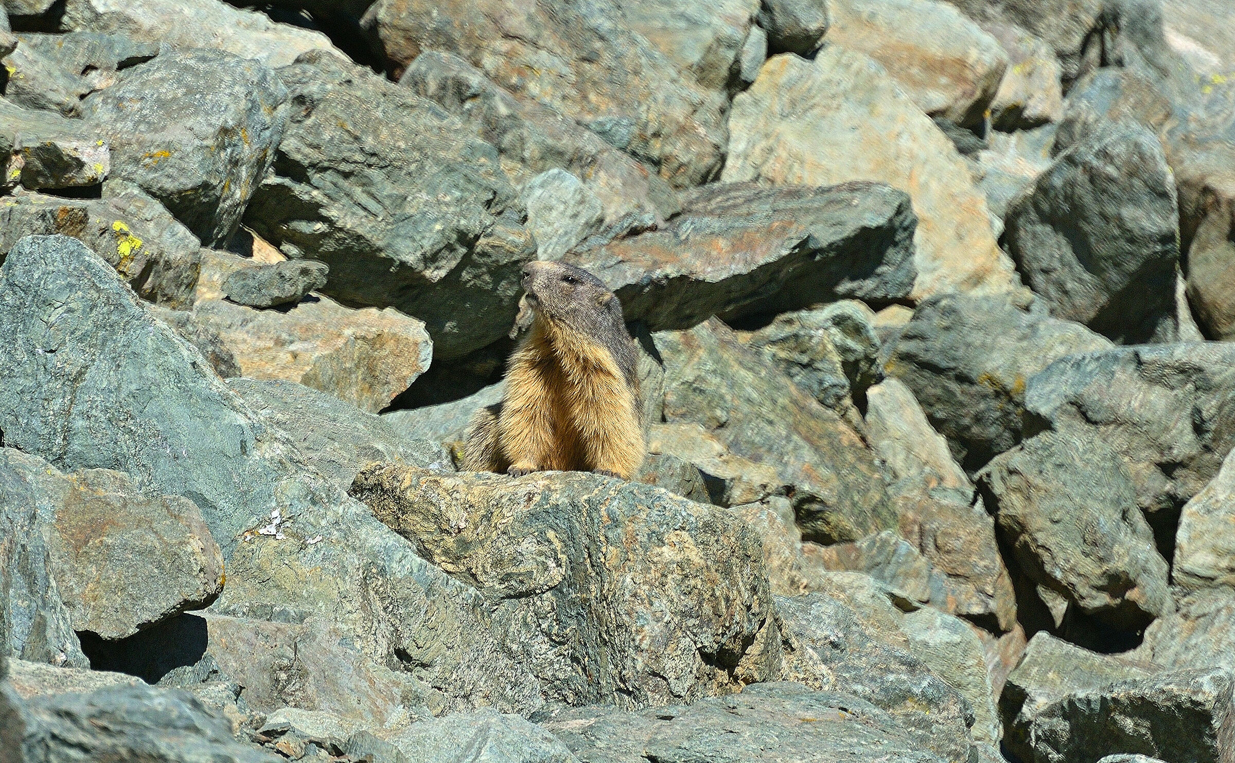Finalmente e Primavera....
