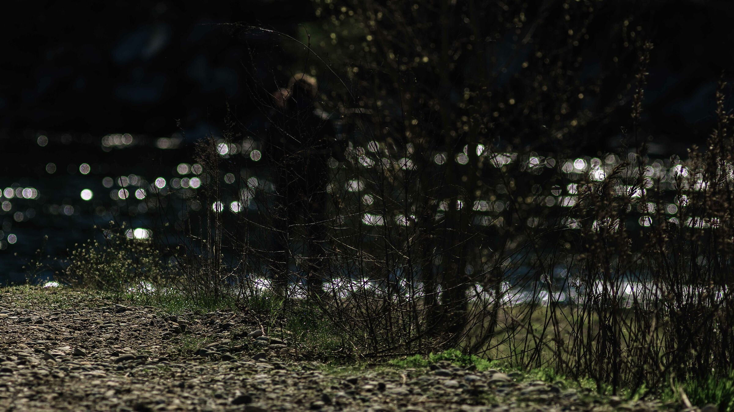 Visions at the Witches' Branch