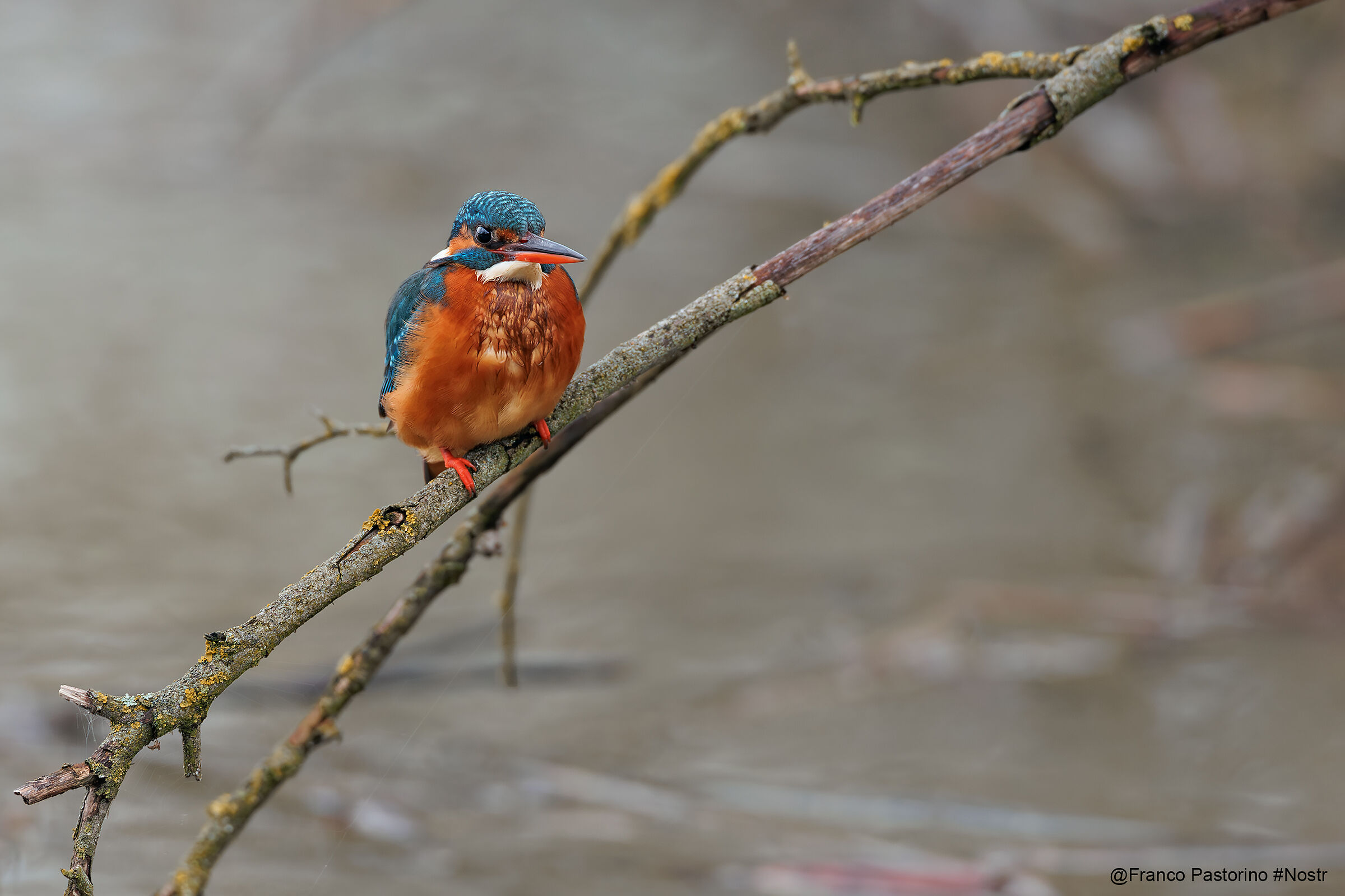 Martino e tempi di sicurezza