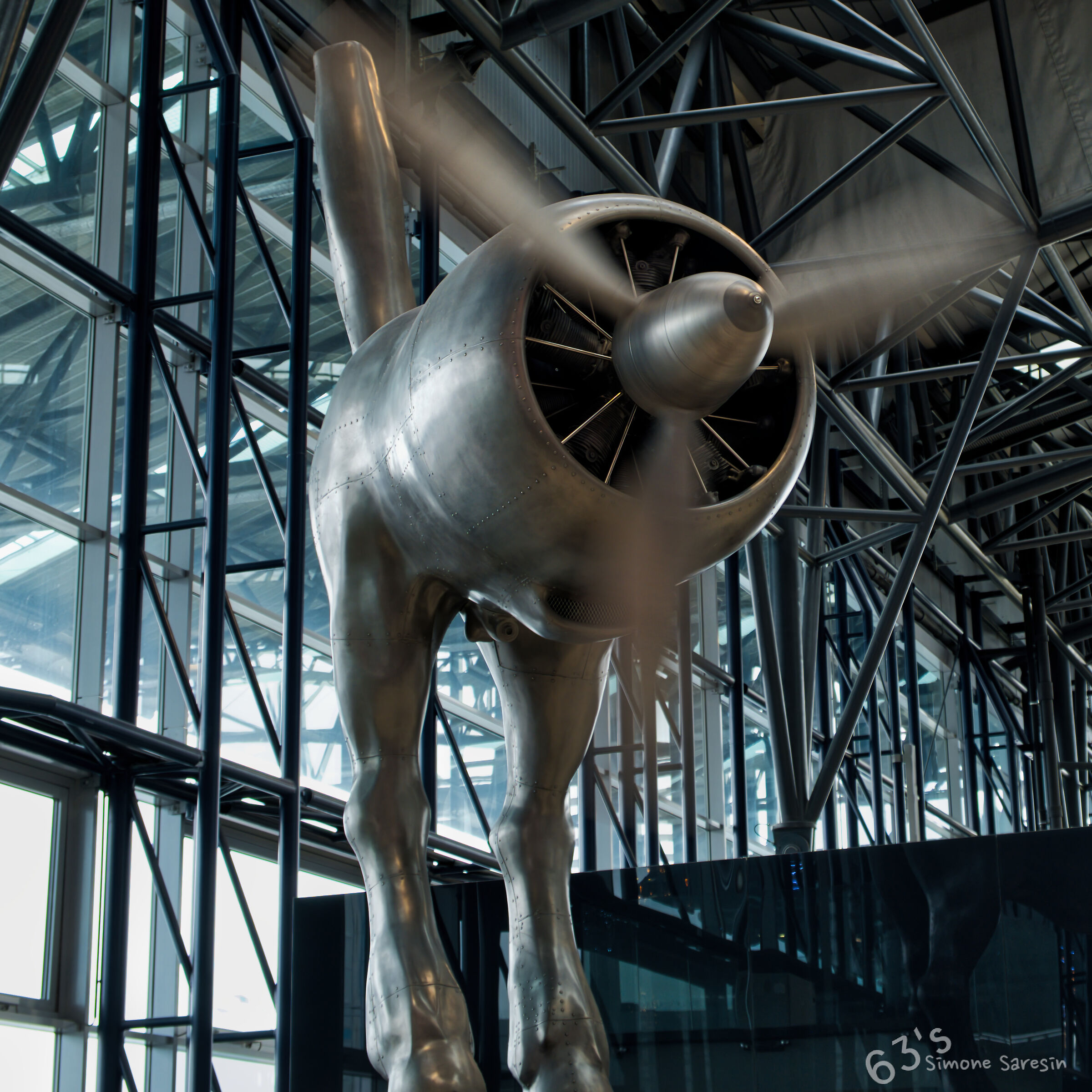 Bull at take-off