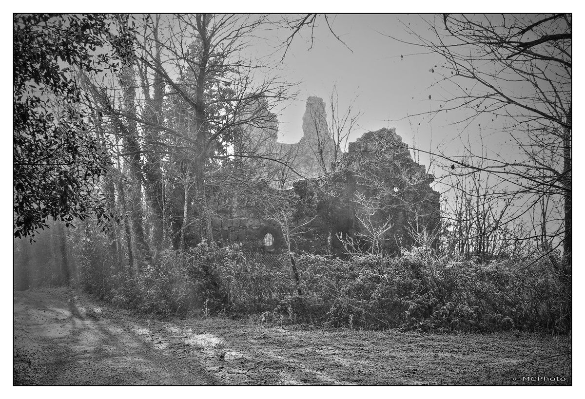 Fredda mattina al Castello di Fogliano