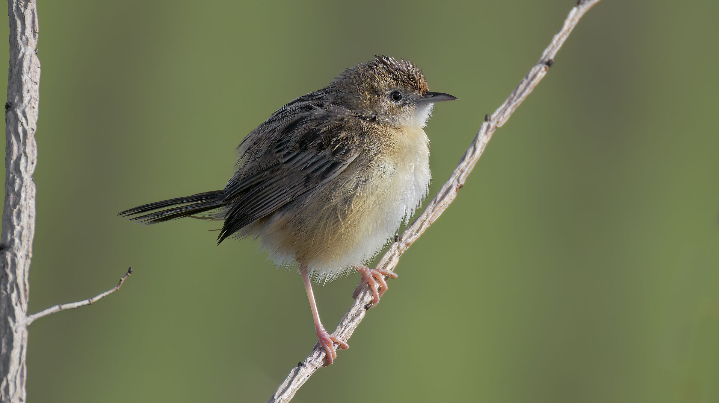 Primo contatto con il 200-800