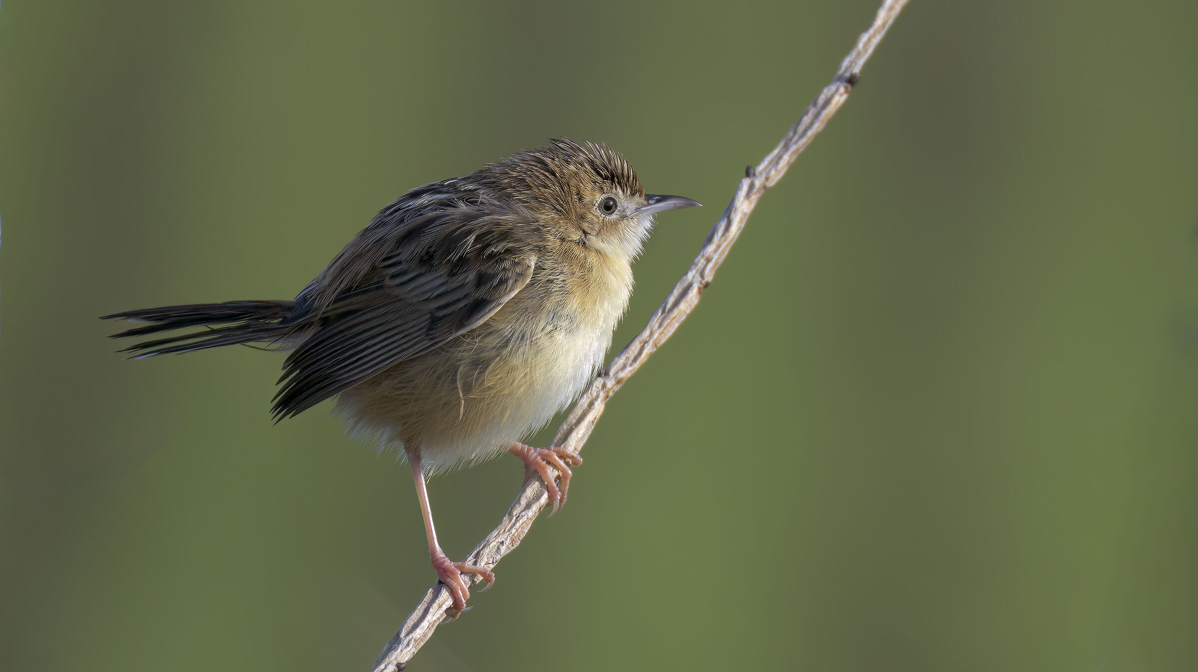 Primo contatto con il 200-800