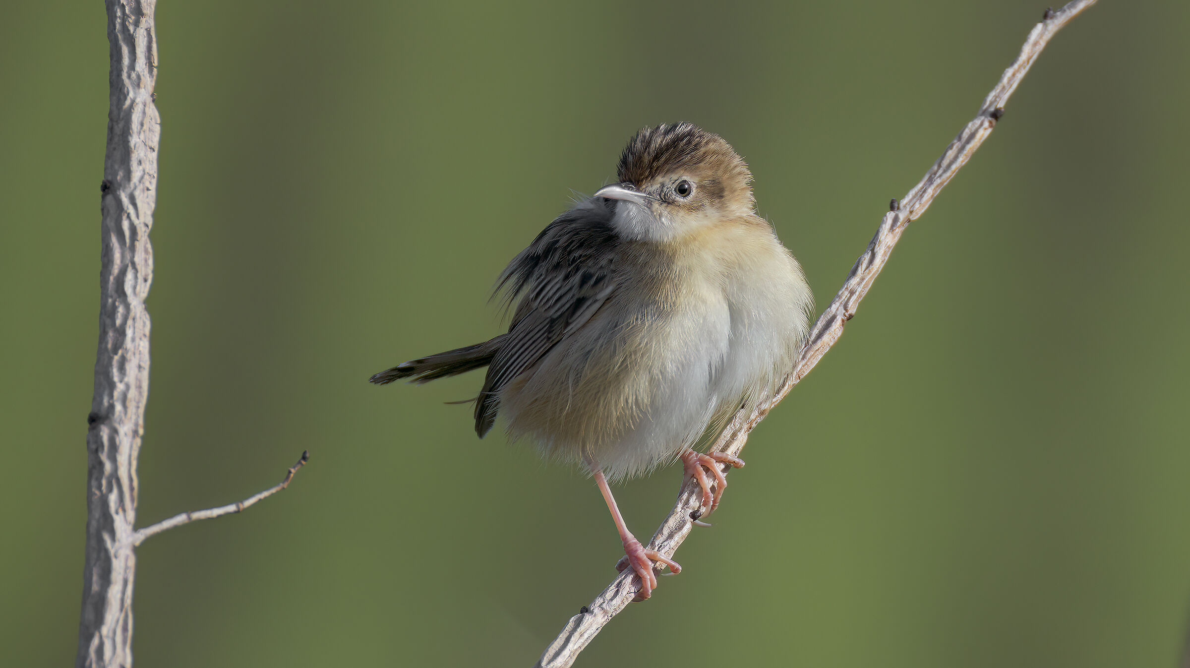 Primo contatto con il 200-800