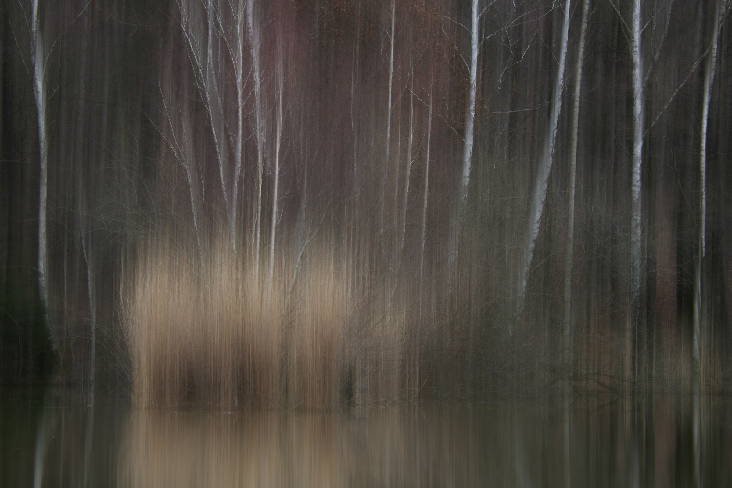 Piccolo scorrimento verticale