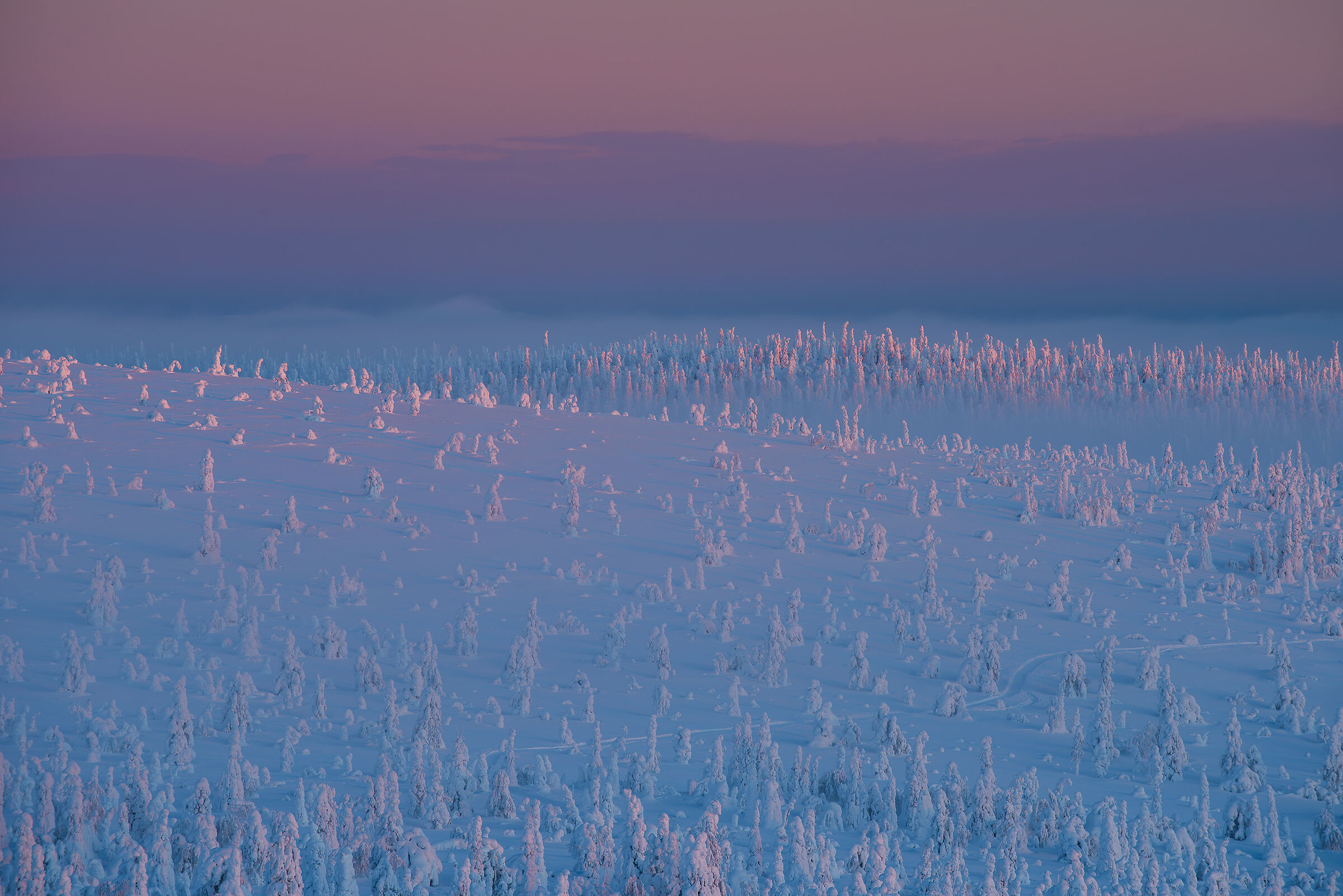 Sunrise in Lapland