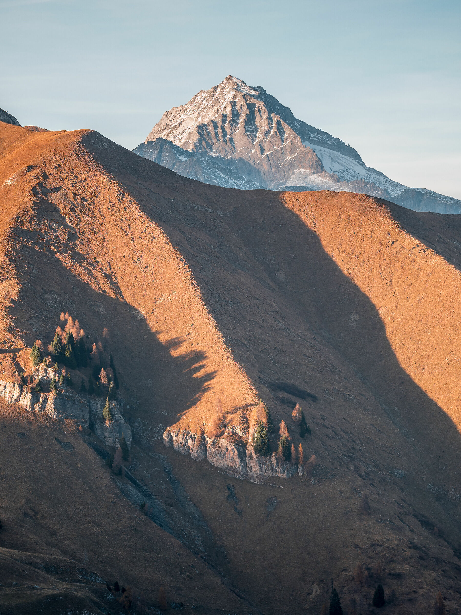 Carè Alto - sua maestà buona sera