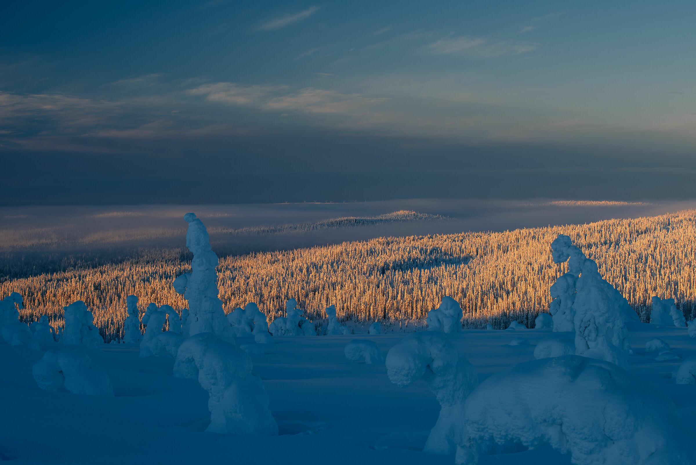 Everything is illuminated