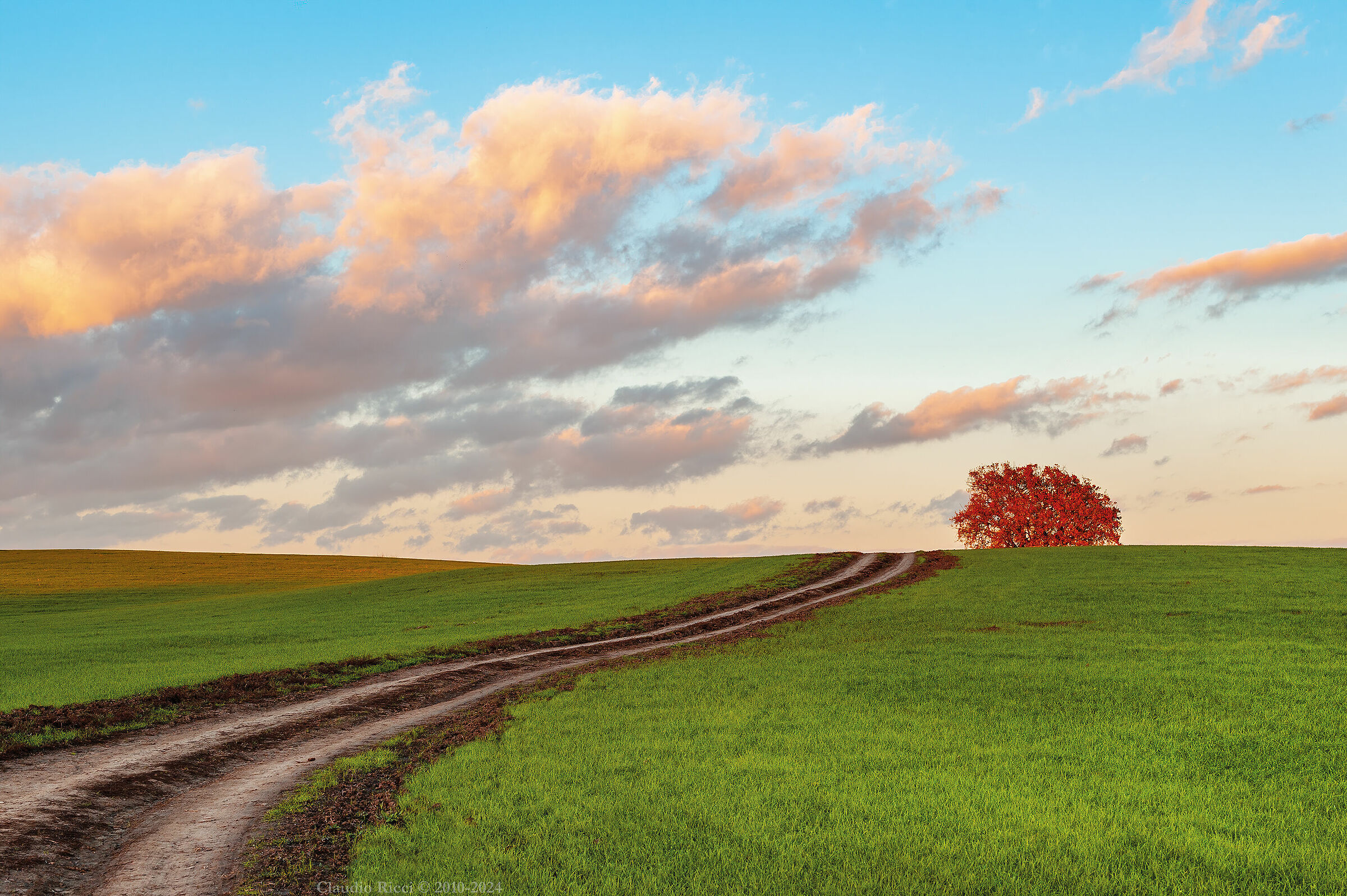 Alle porte della Città