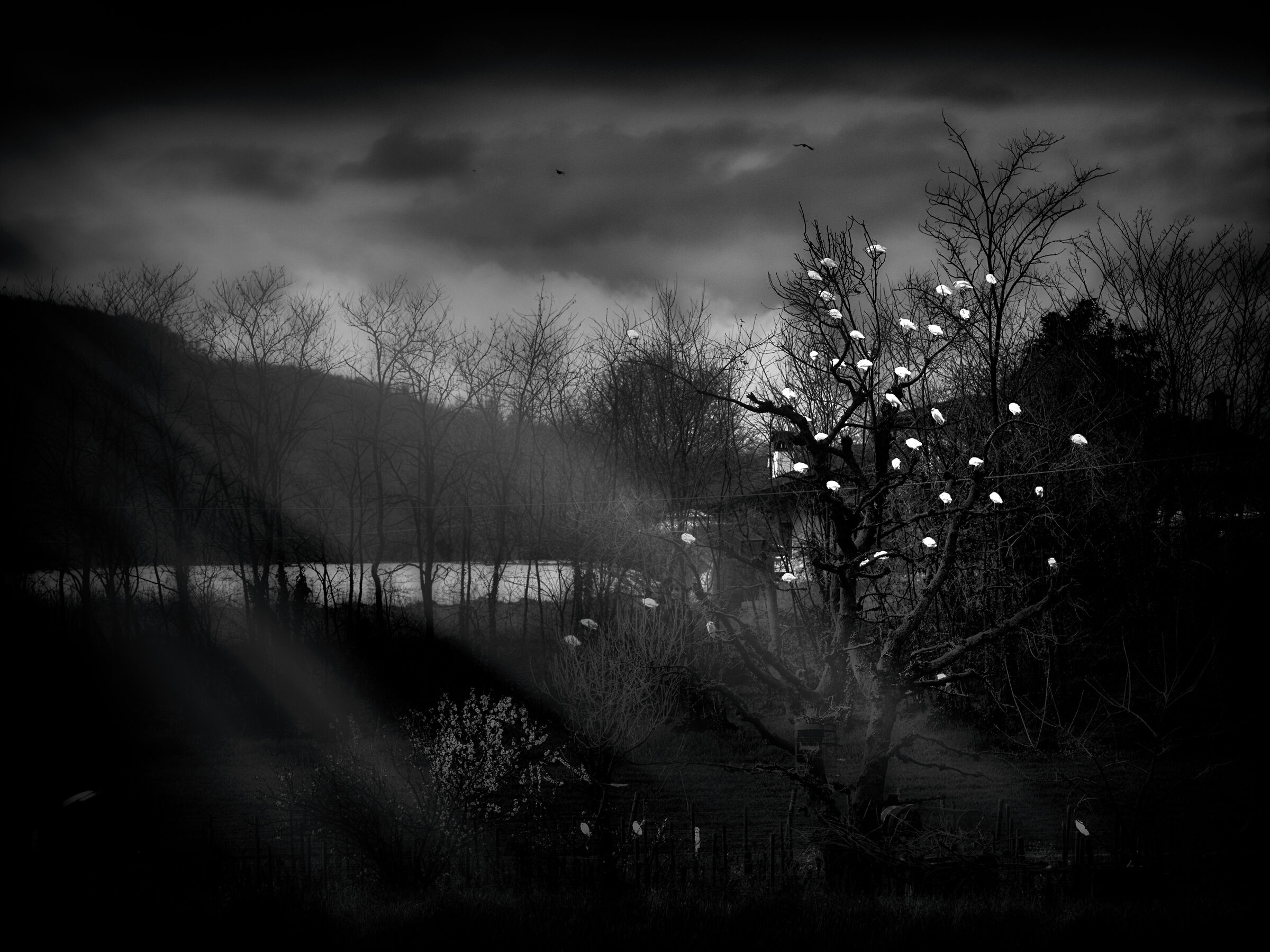 Un rifugio di anime perse