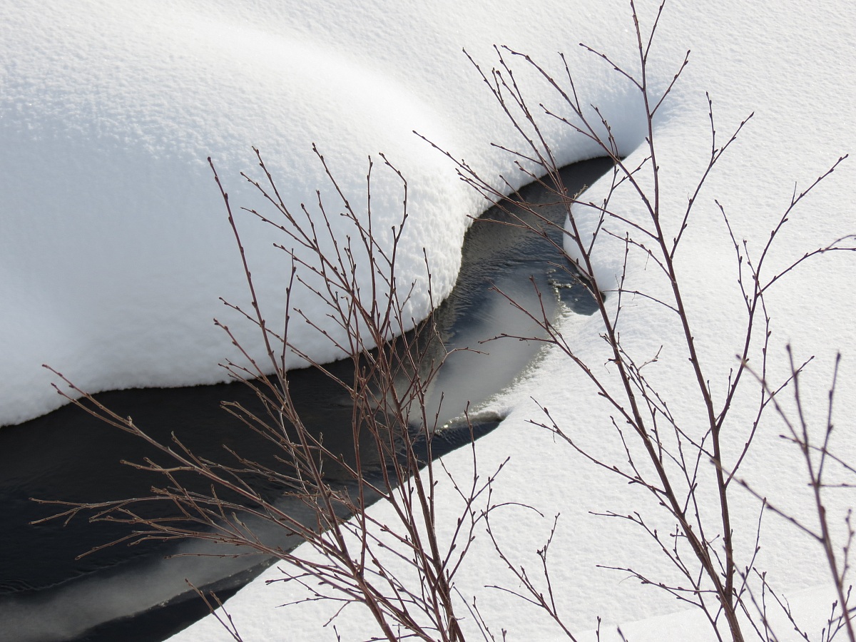 acqua , nonostante tutto