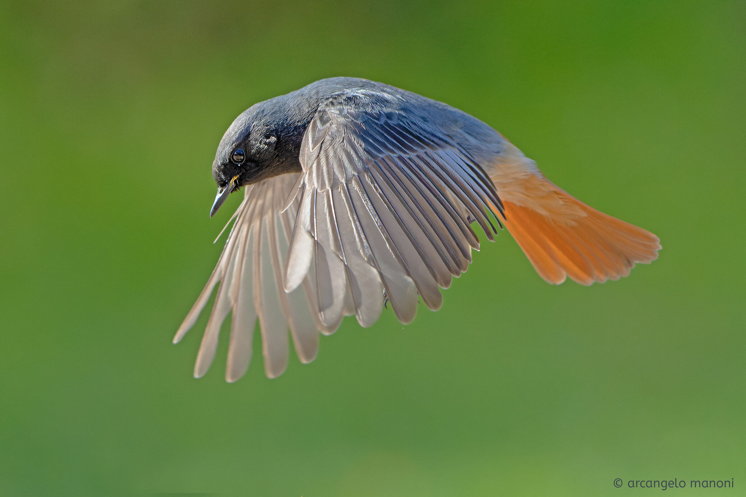 Fluttuando nello spazio