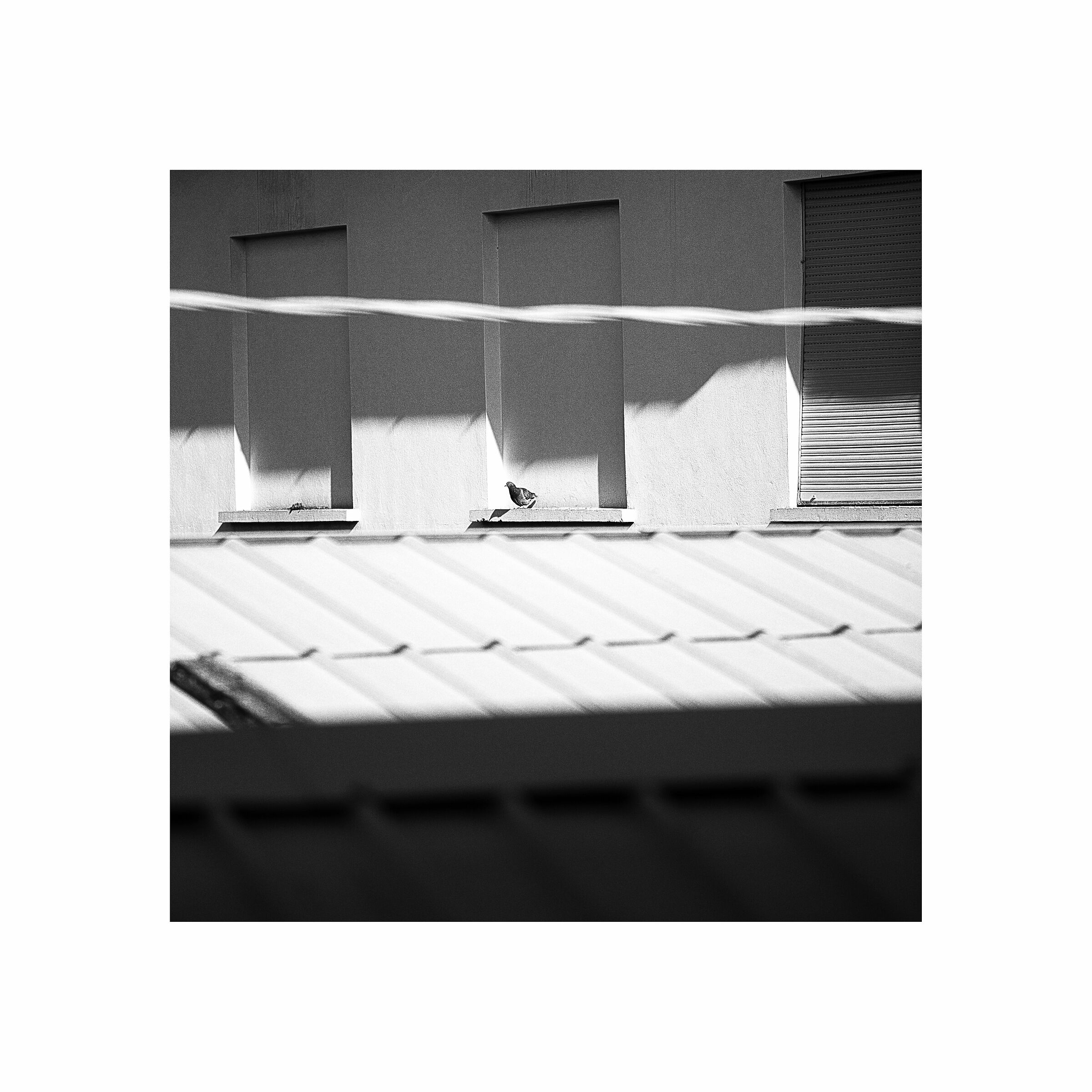 Untitled Photo