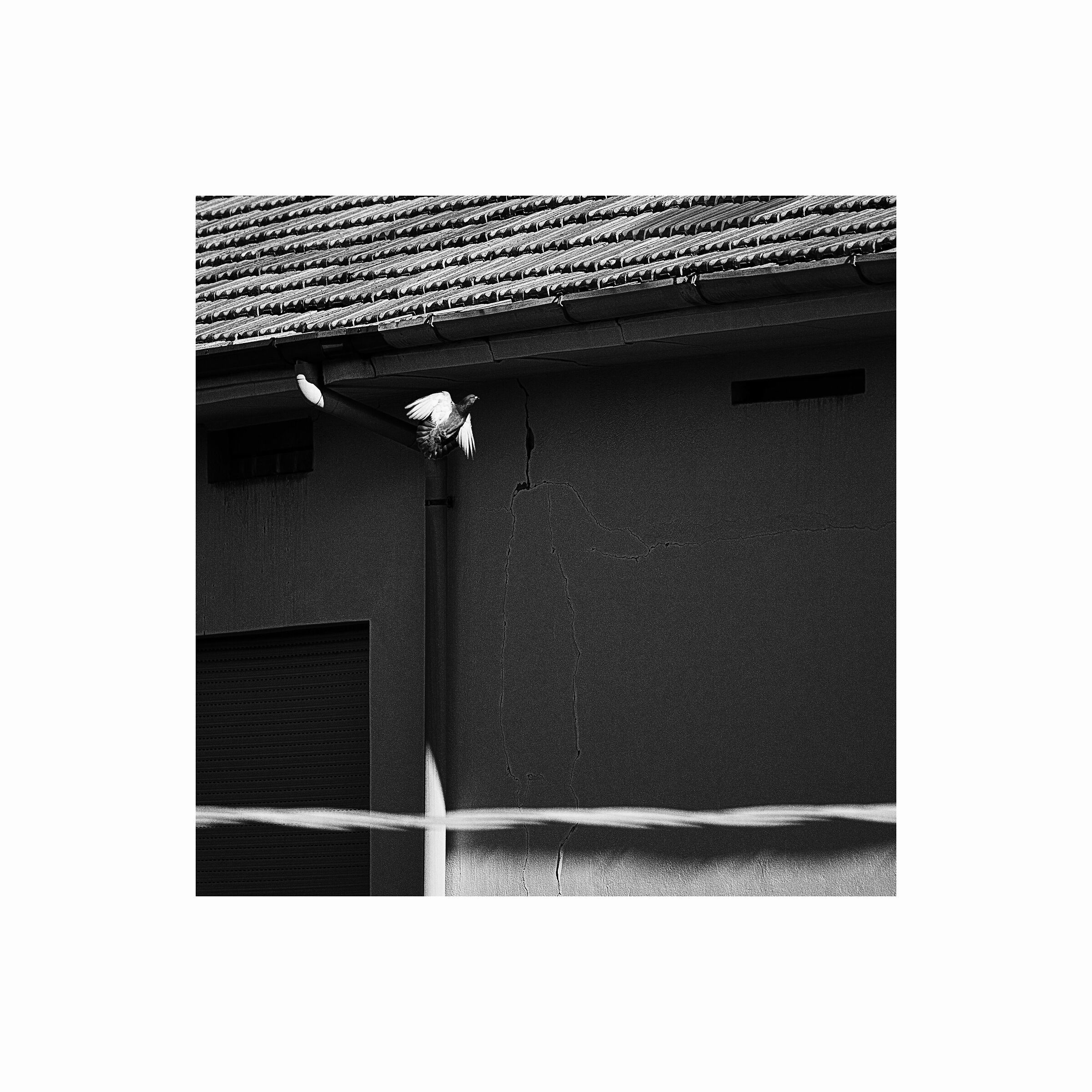 Untitled Photo