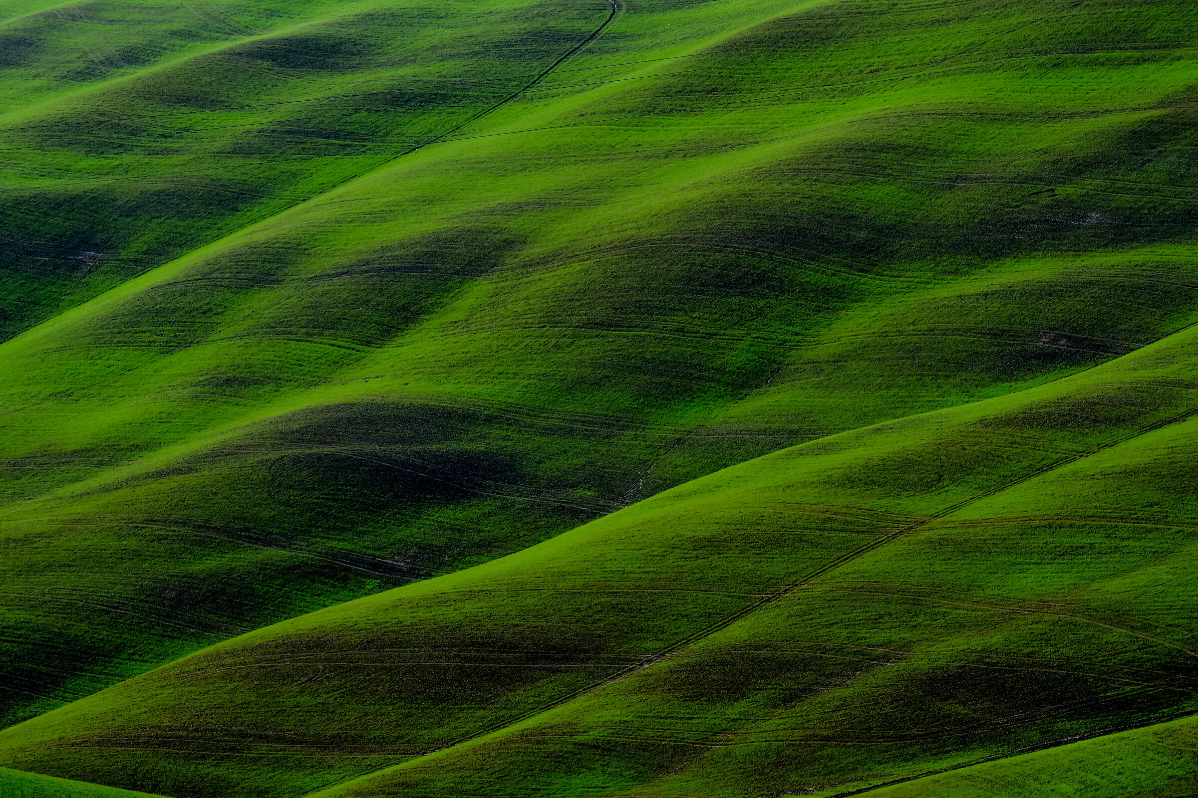 tappeto toscano...