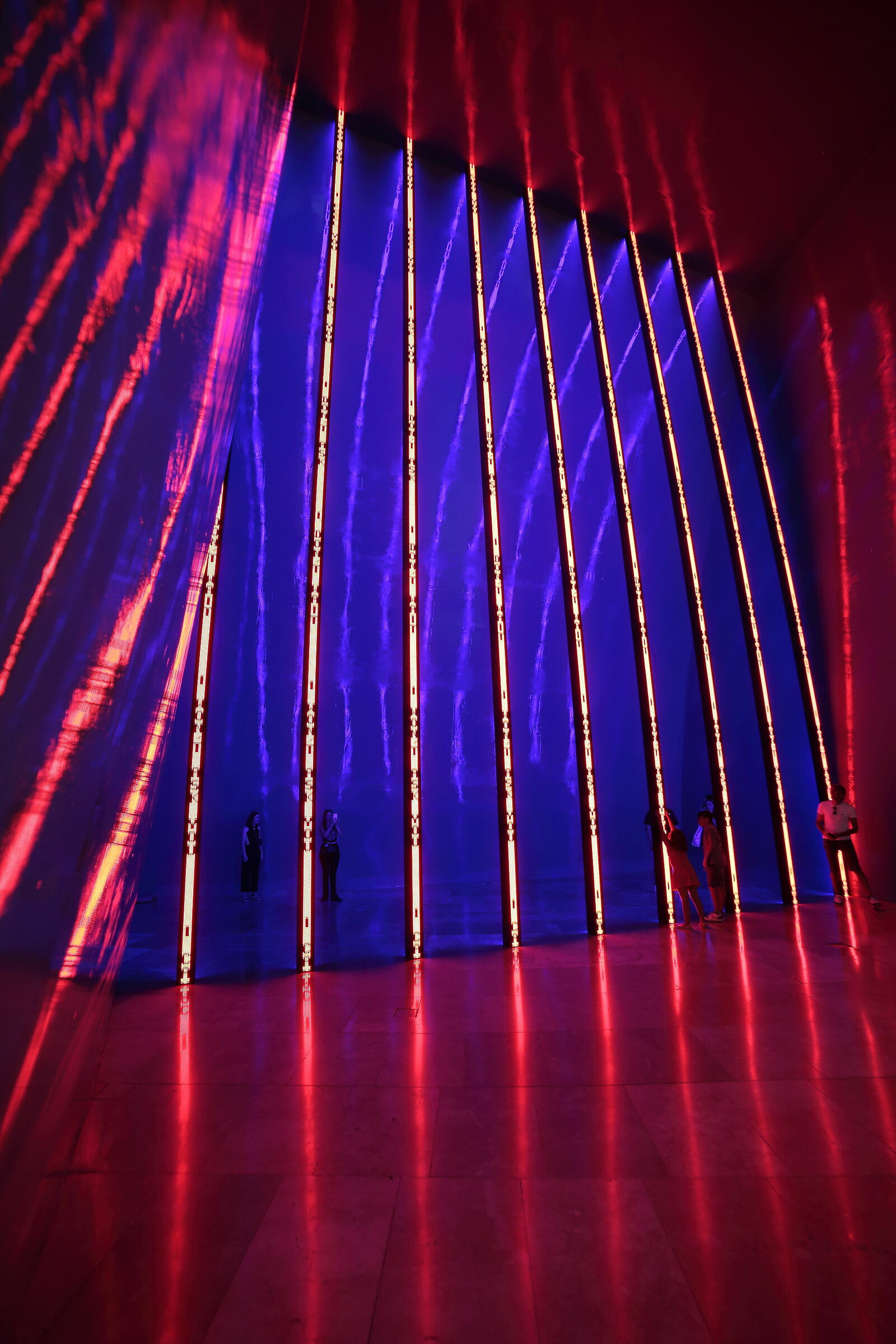 immersions and light projections