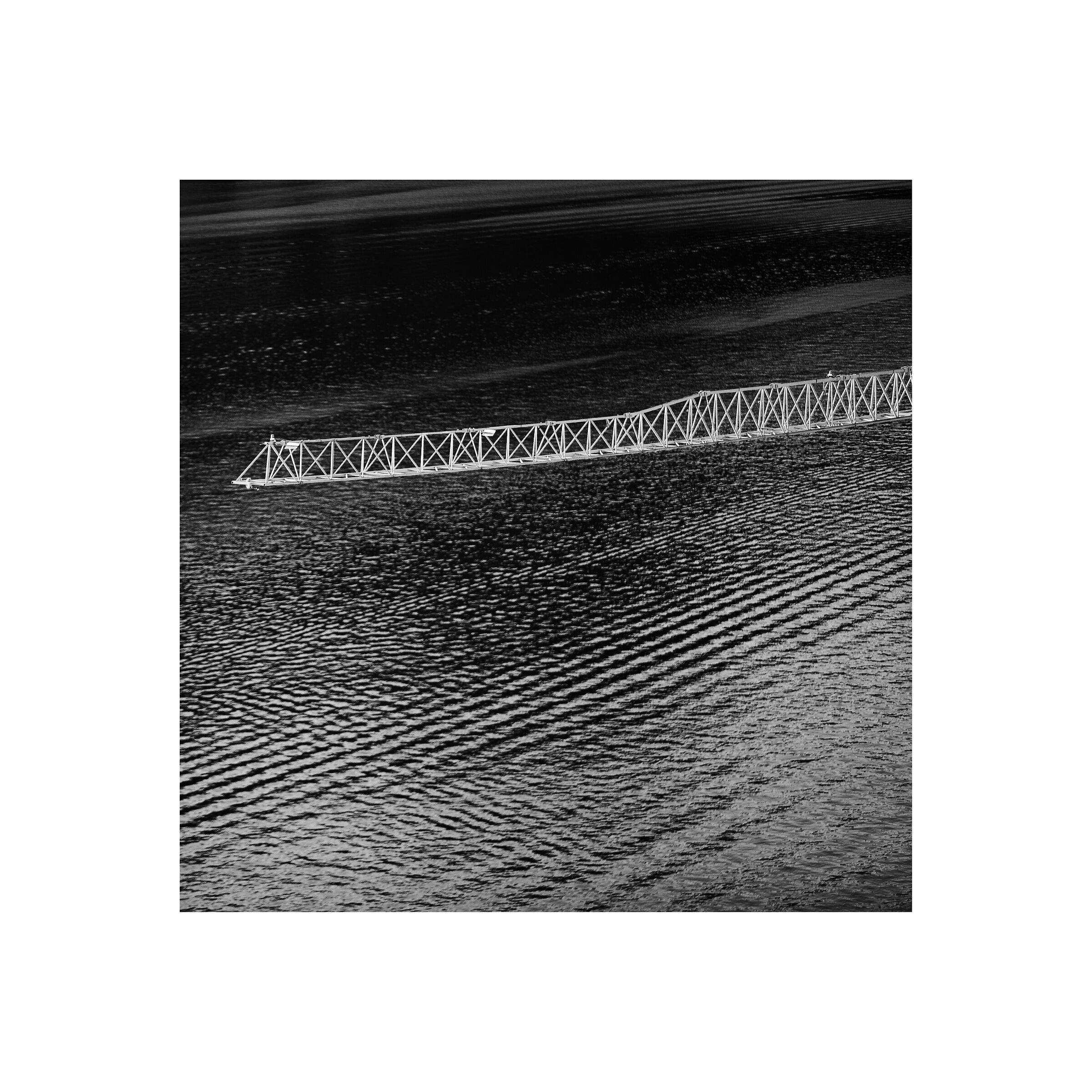 Untitled Photo